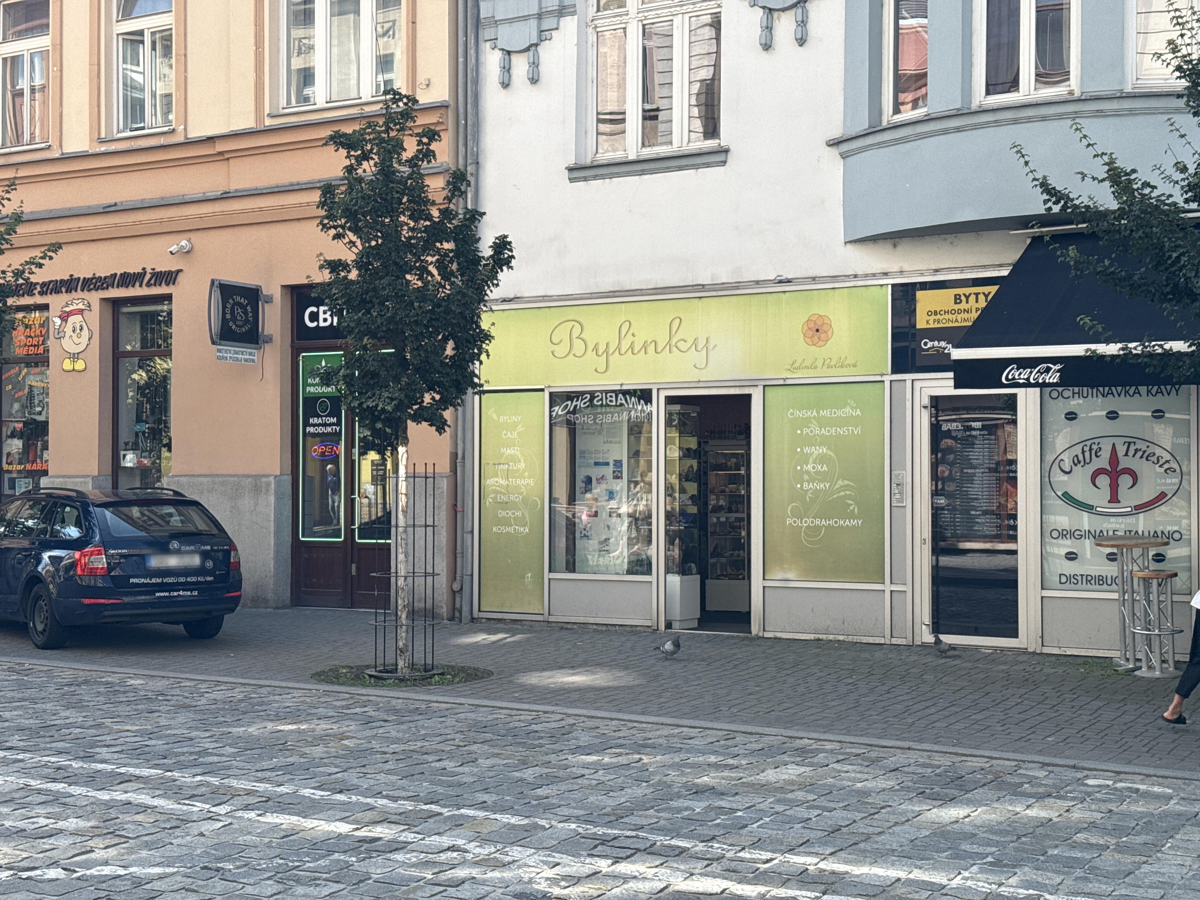 Bylinky Ludmila Pavlíková foto 4