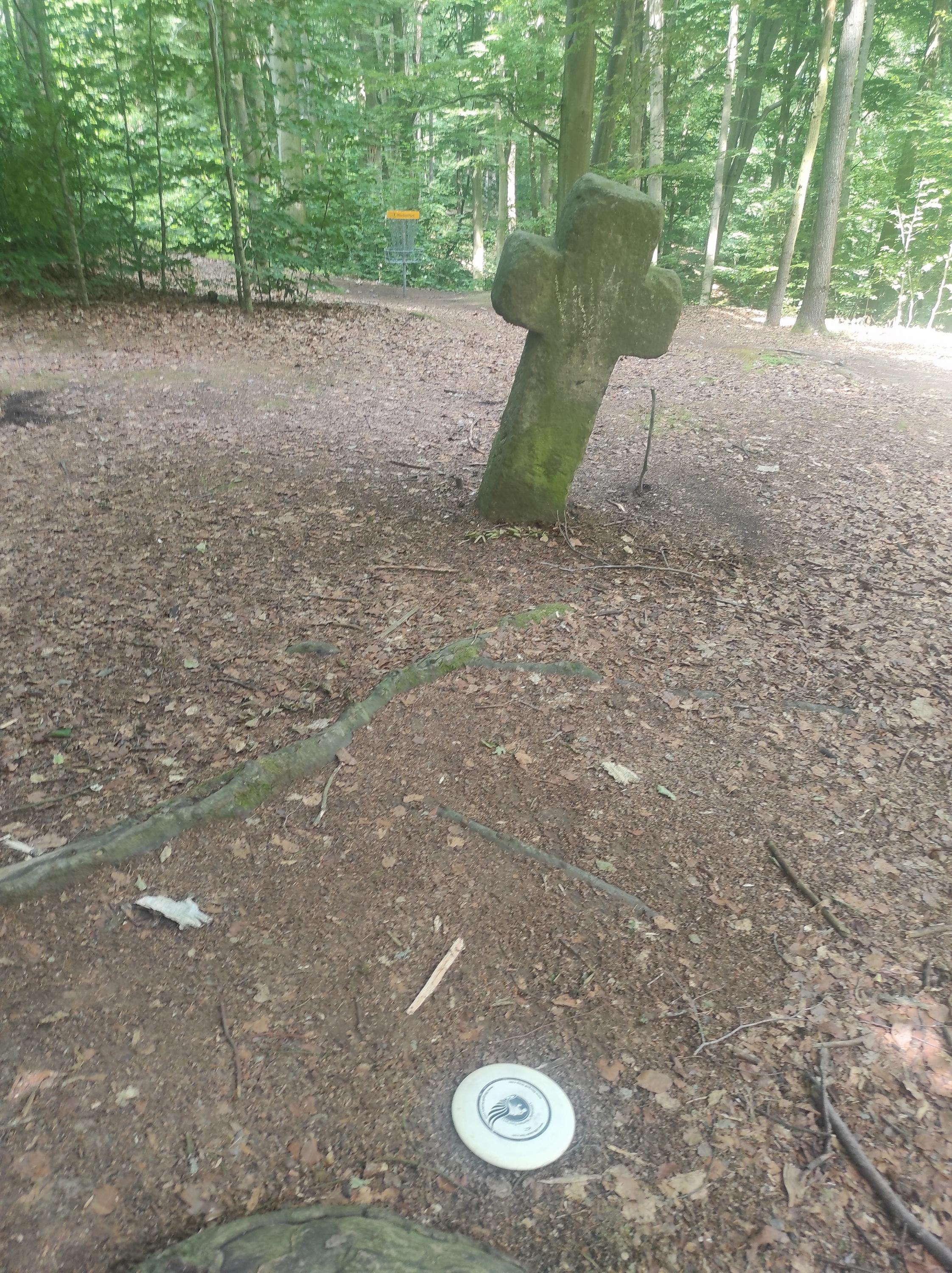 Discgolfové hřiště Myslivna foto 6
