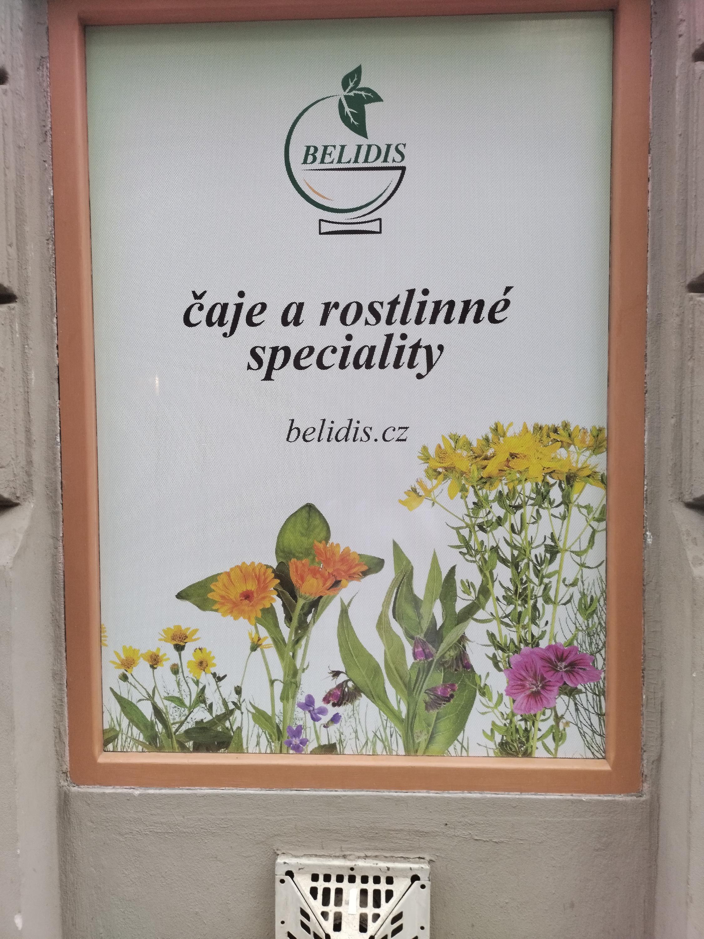 Miroslav Nešpor foto 3