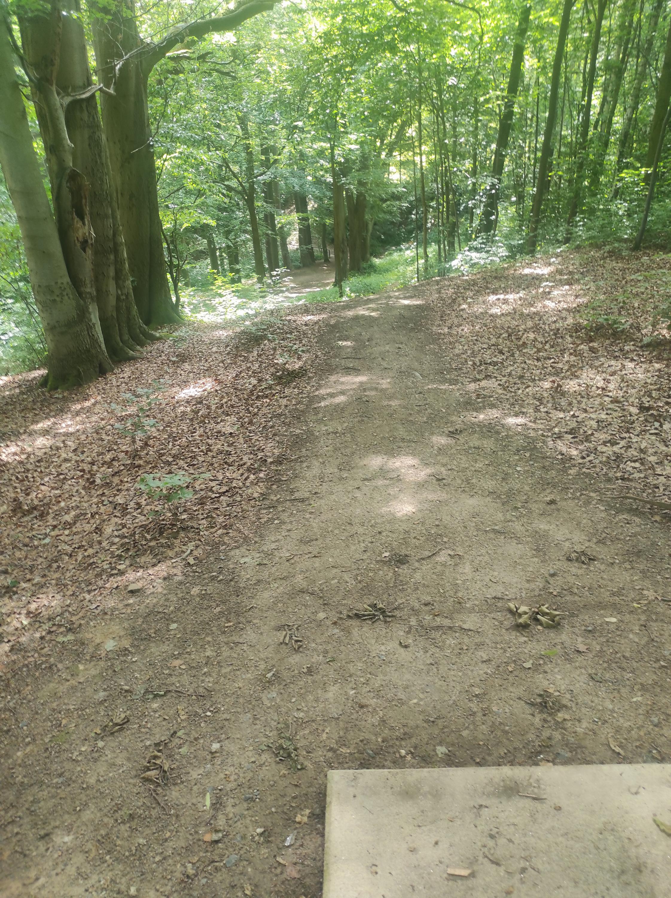 Discgolfové hřiště Myslivna foto 5