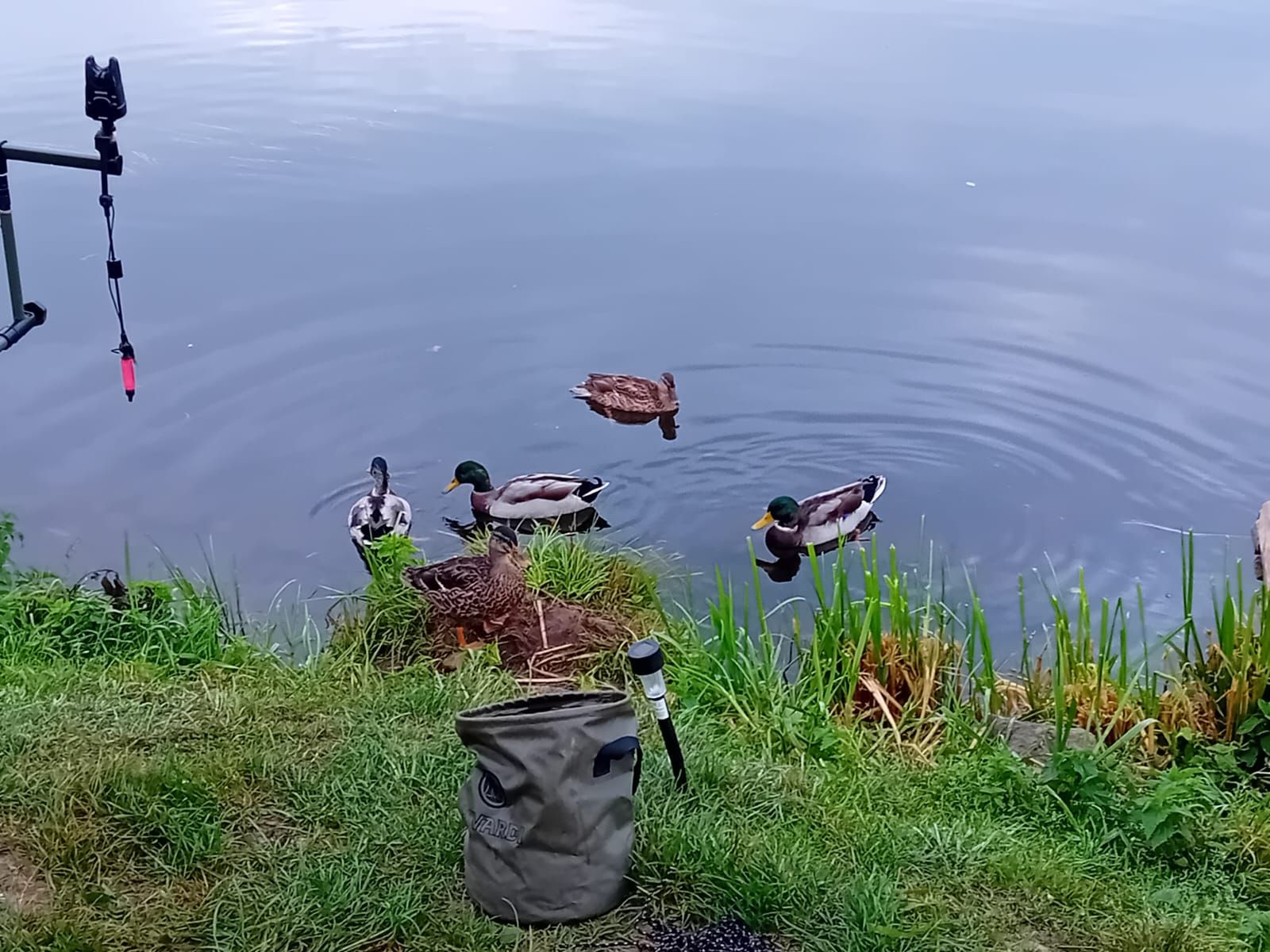 Rybolov a camping Ostružno foto 4