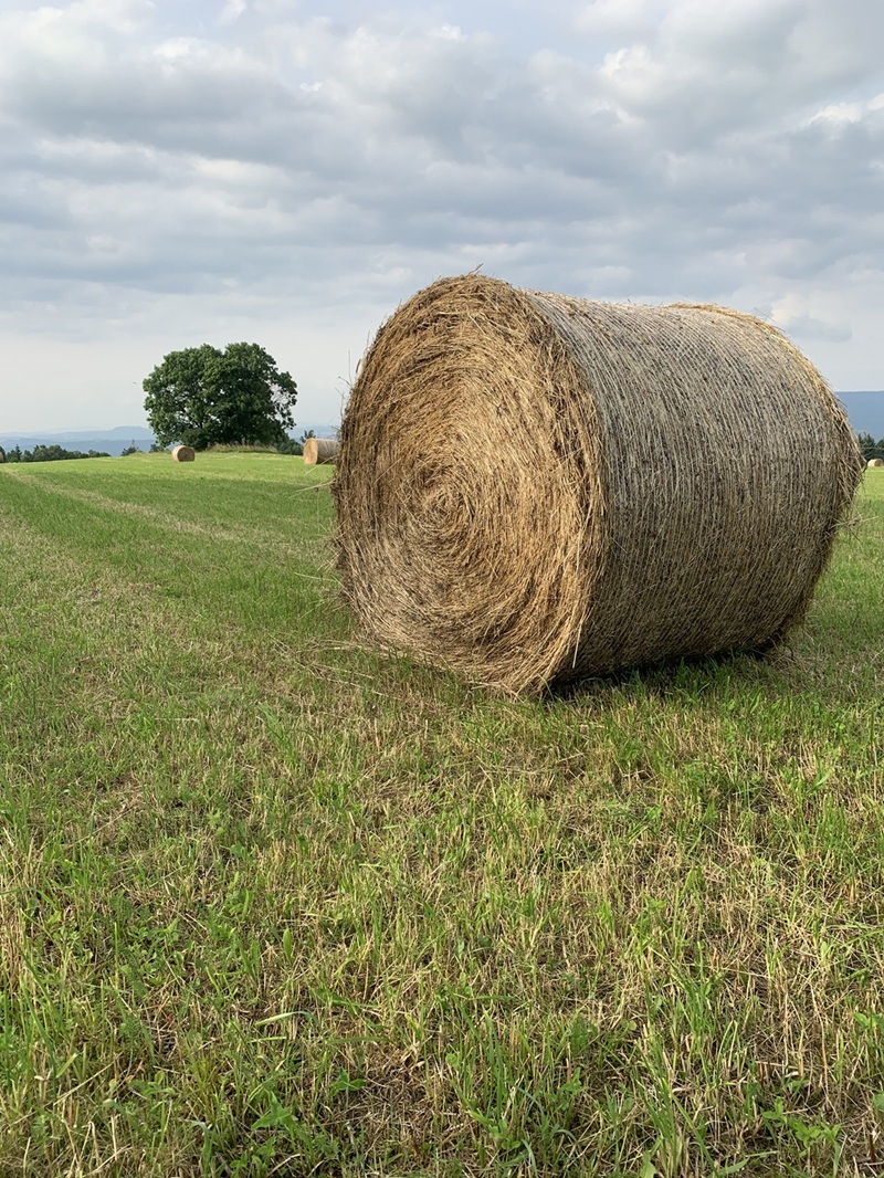 Penzion Krásné časy foto 5