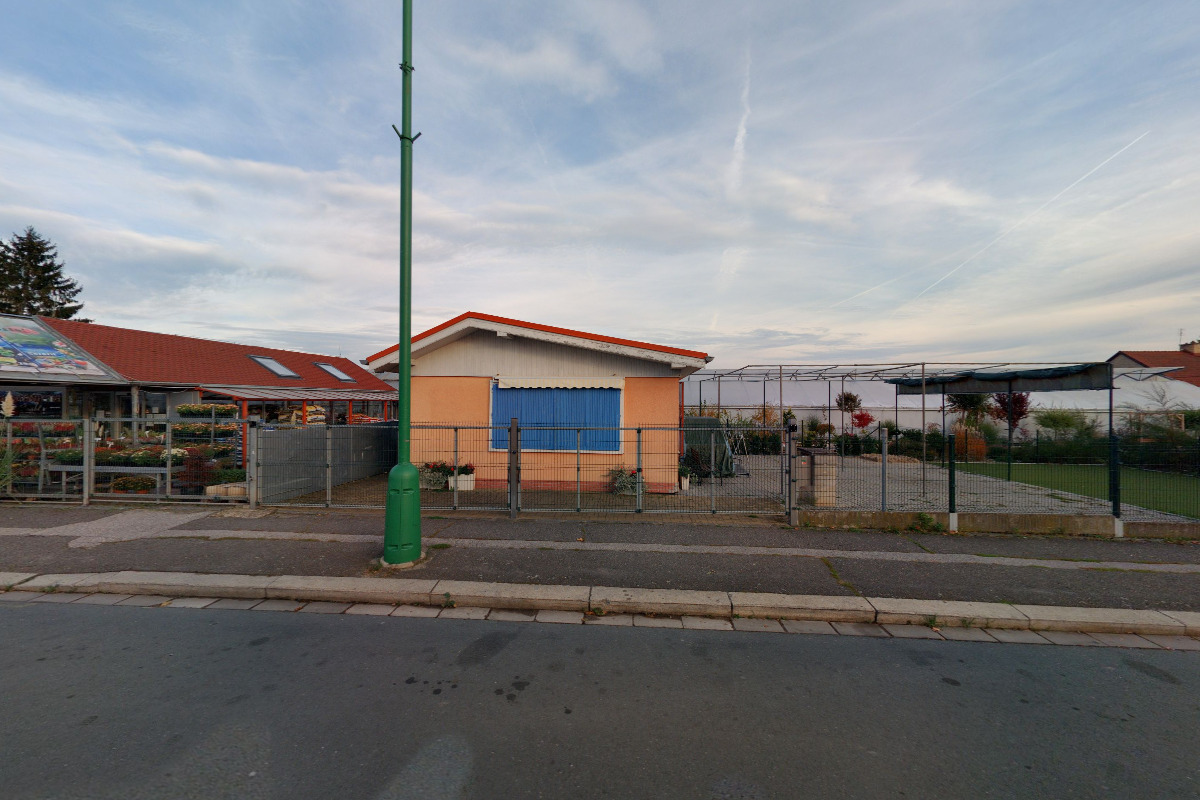 Zmrzlina Jakubské Předměstí