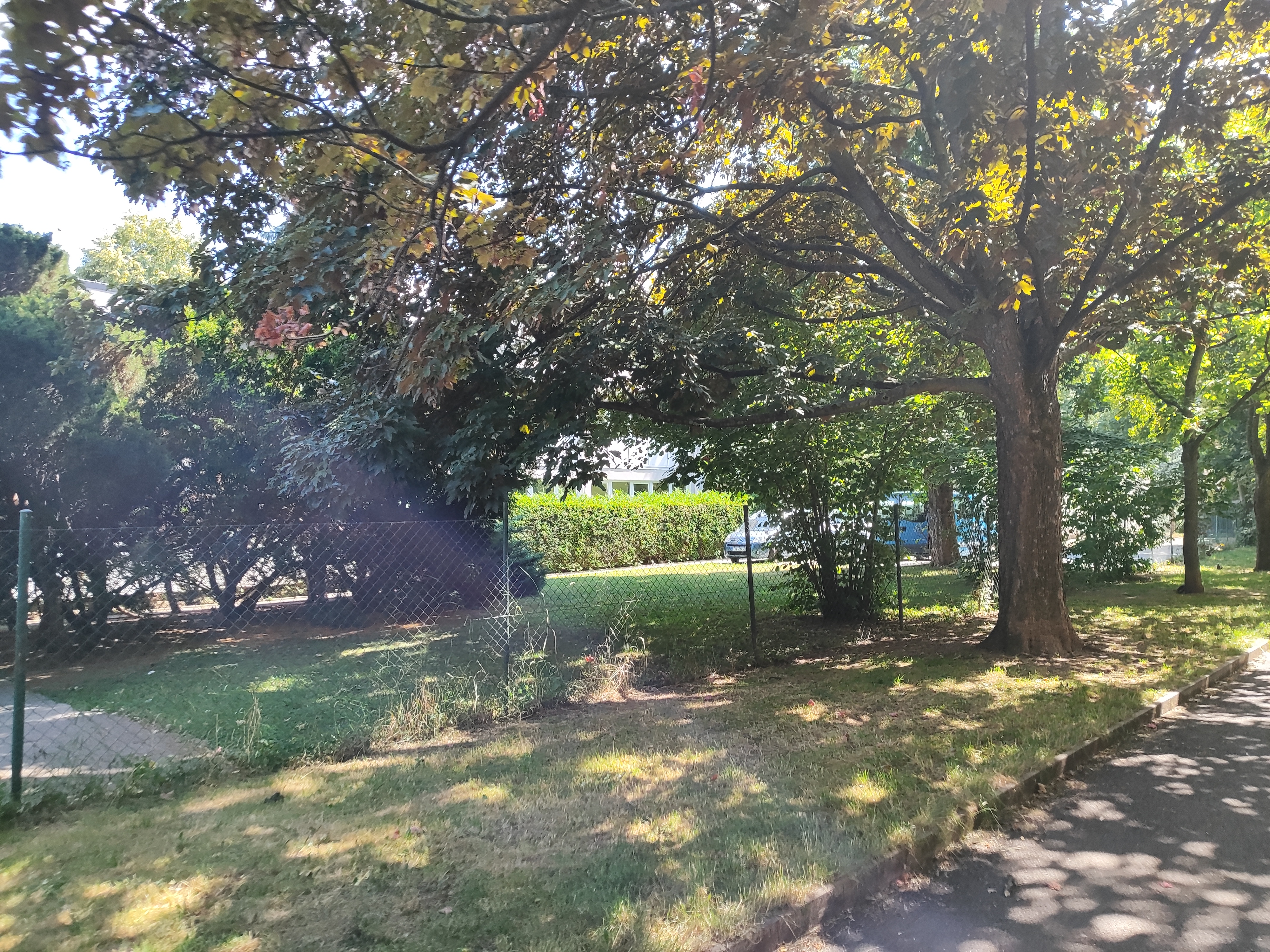 Vývojové poruchy s.r.o. foto 2