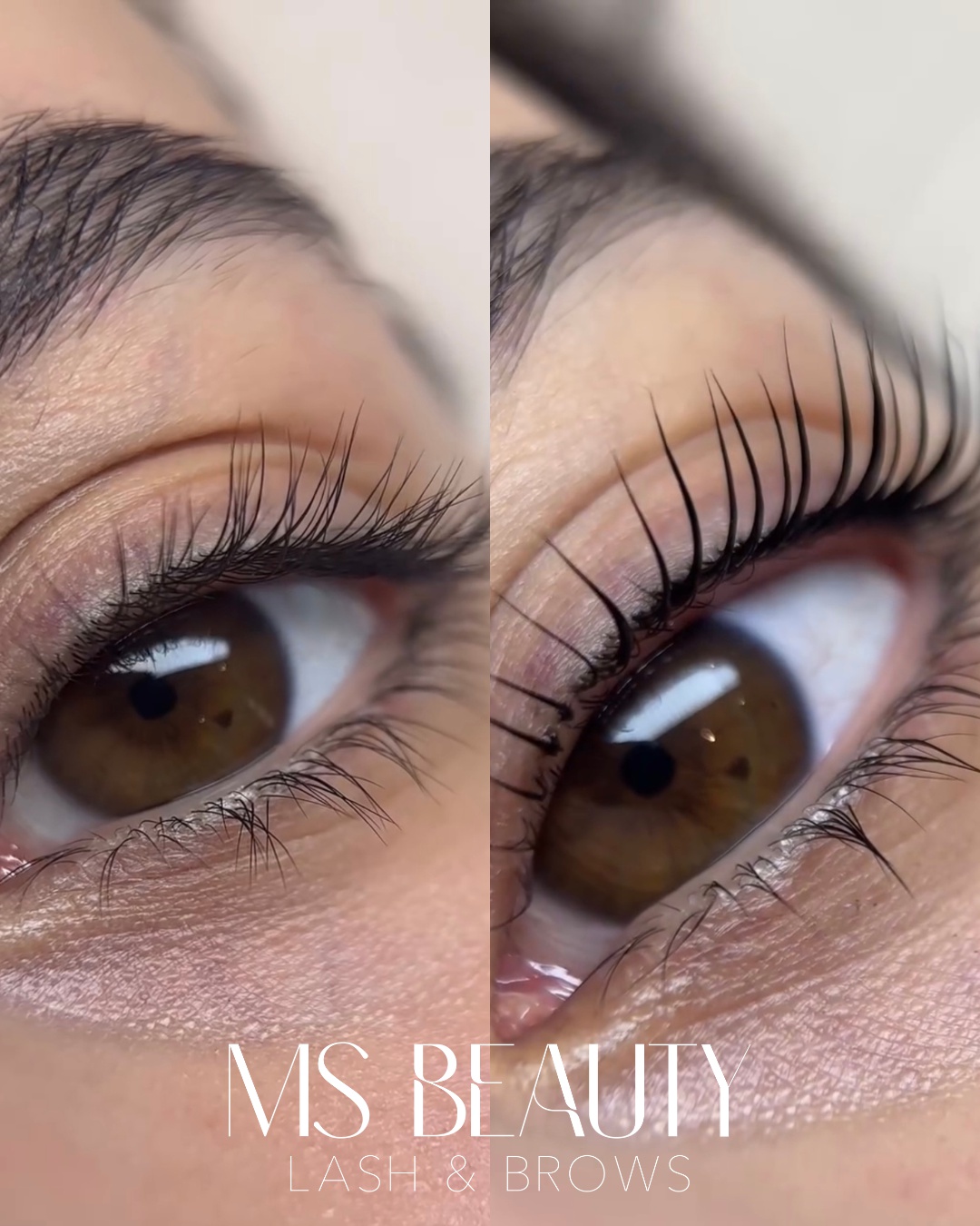 MS Beauty foto 4