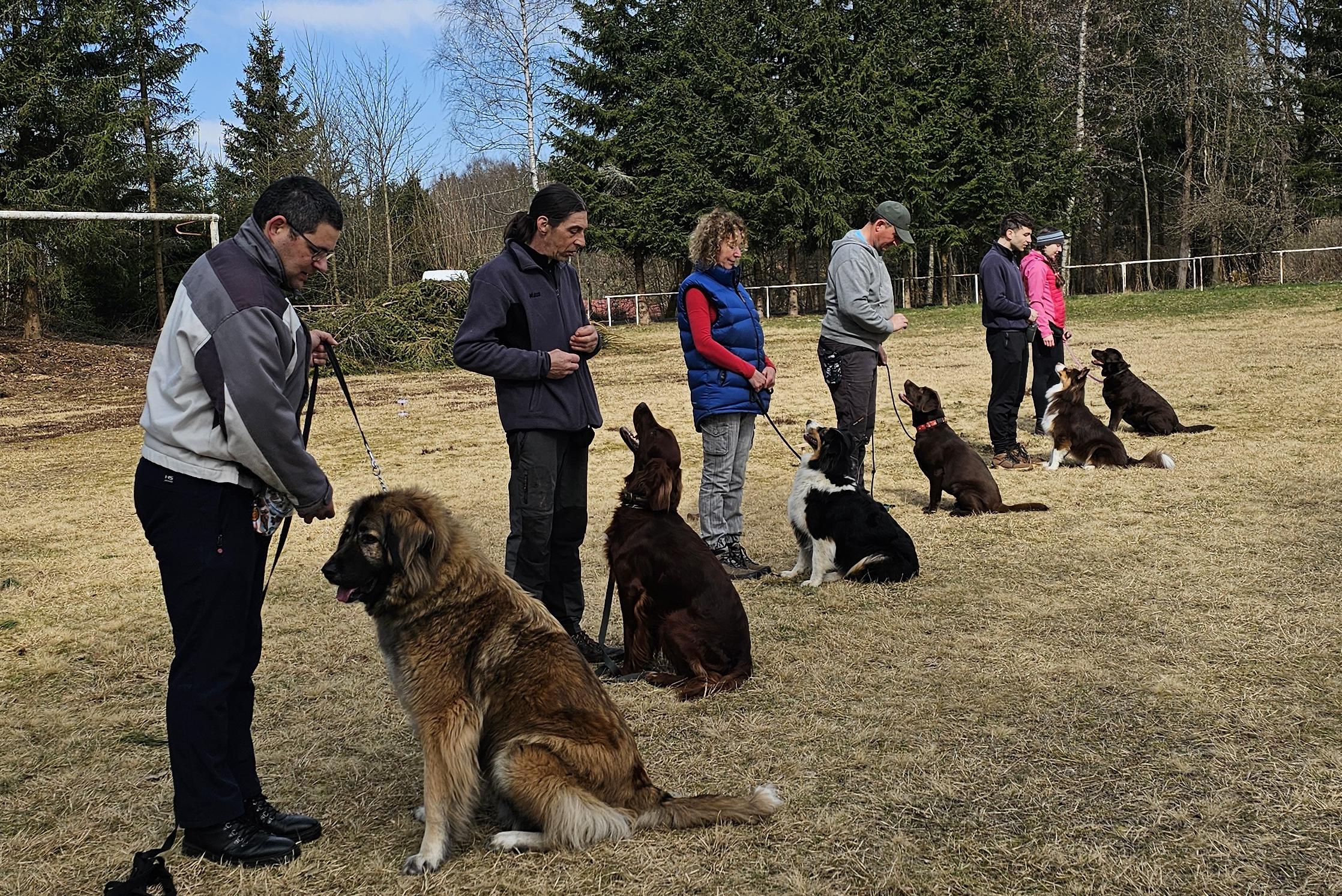 SILDOG - výcvik psů
