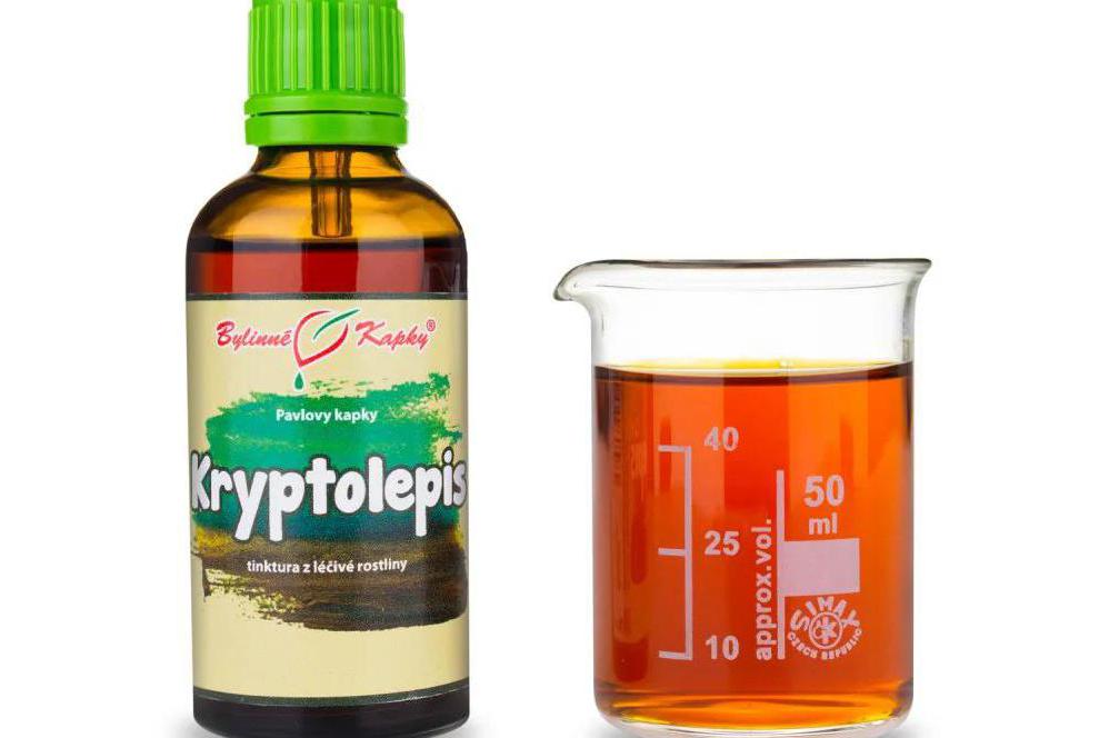 Kryptolepis tinktura - nejúčinnější přírodní ATB