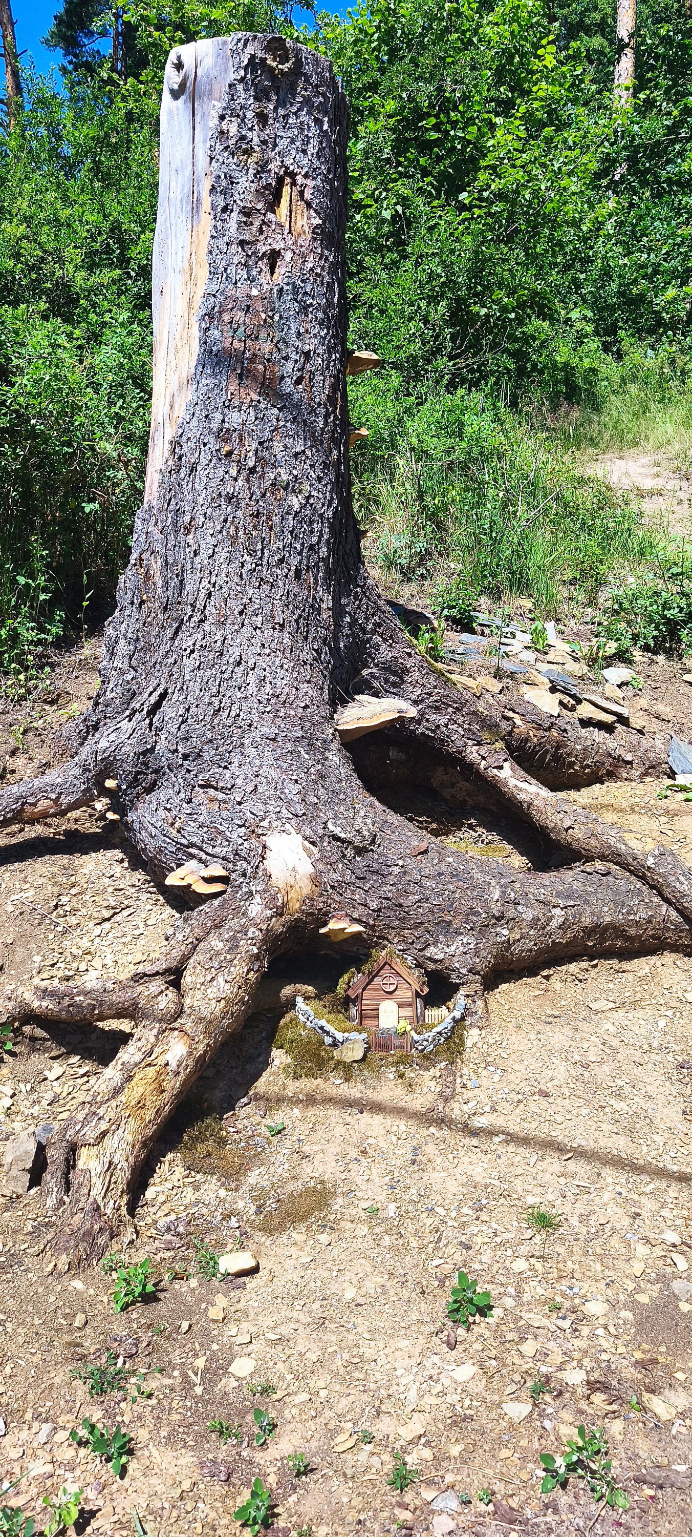 Občerstvení Patrik Hejna foto 6