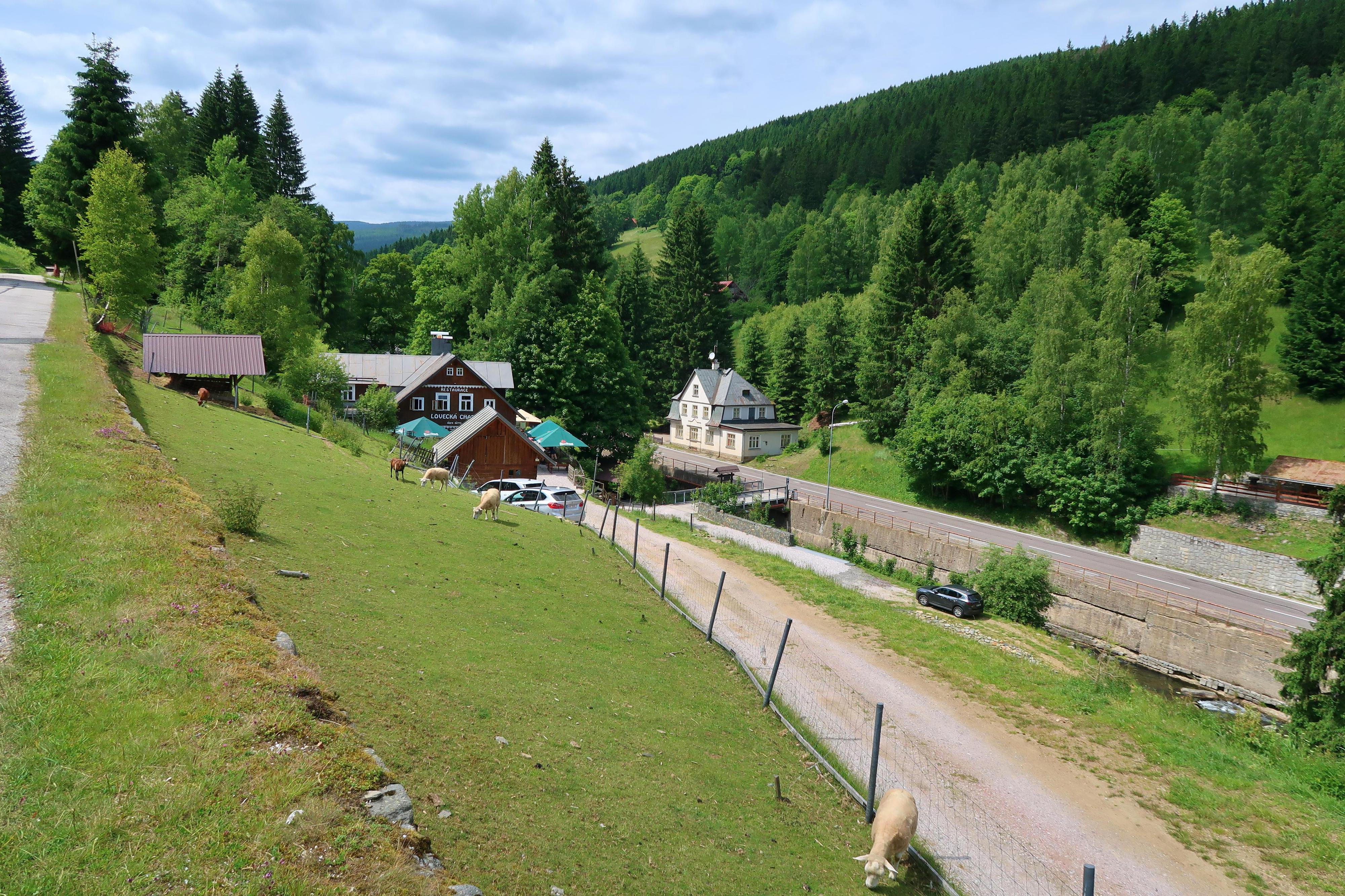 Penzion Lovecká chata foto 3