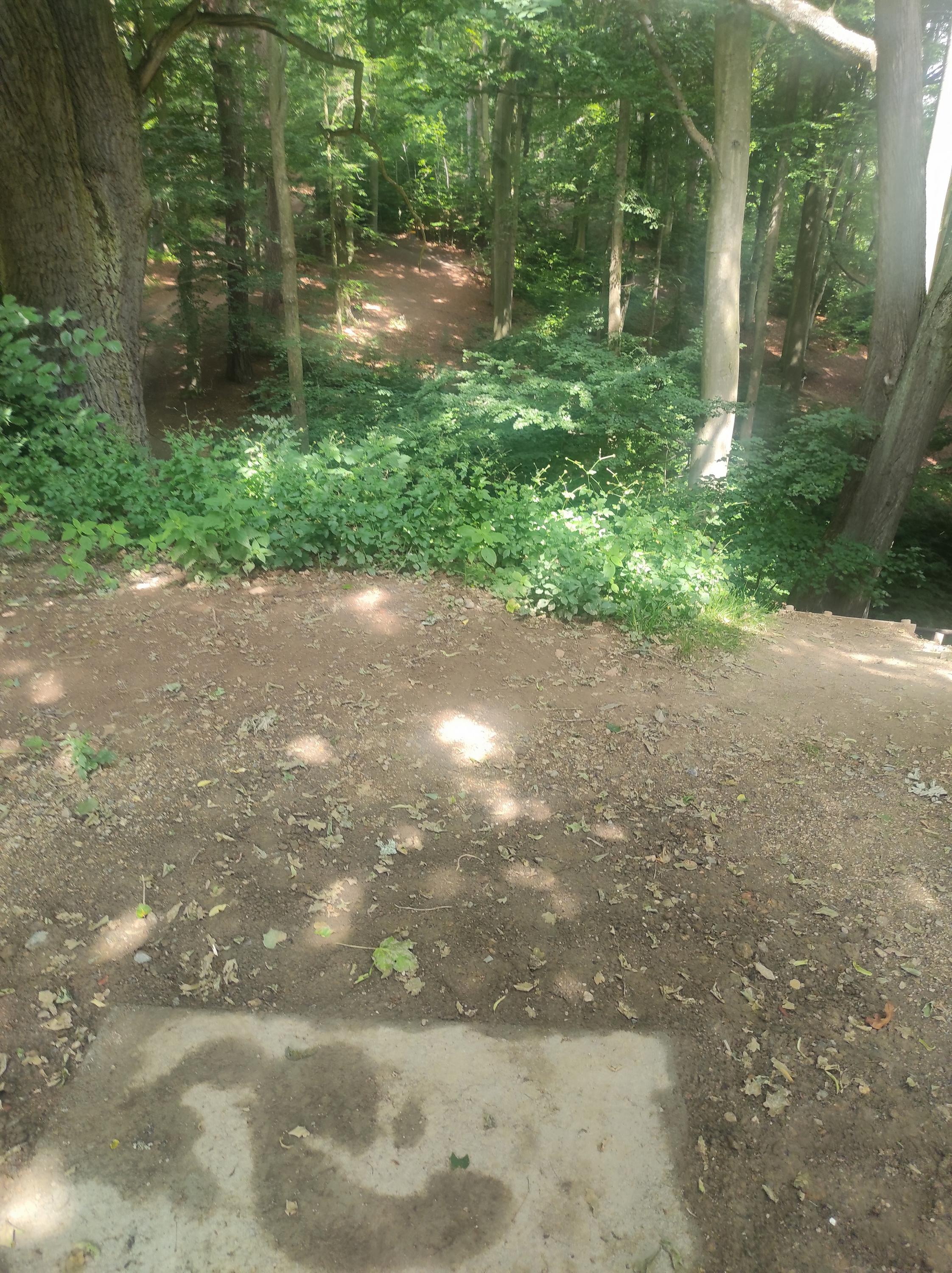 Discgolfové hřiště Myslivna foto 6