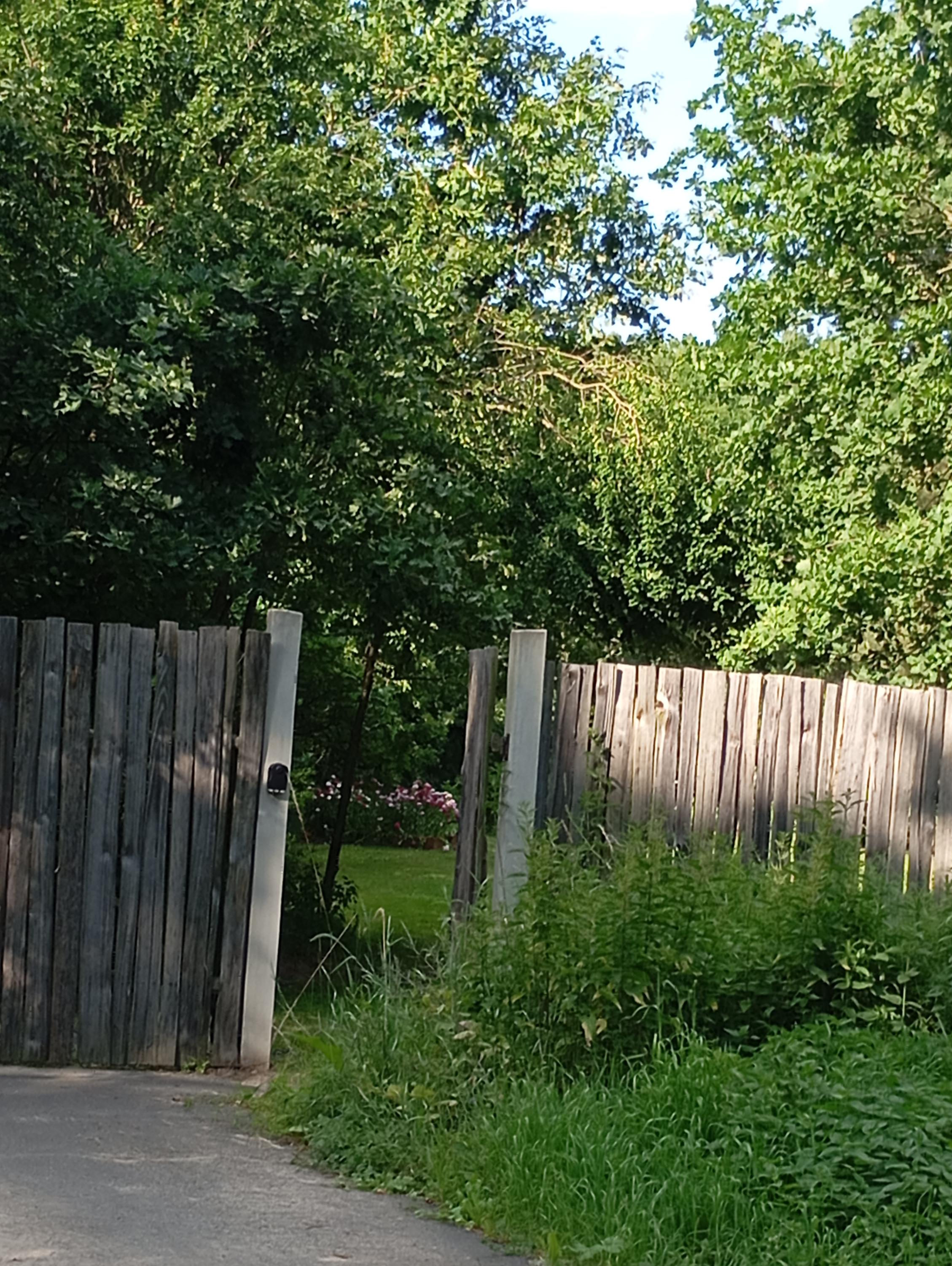 Glamping v Sadu foto 5