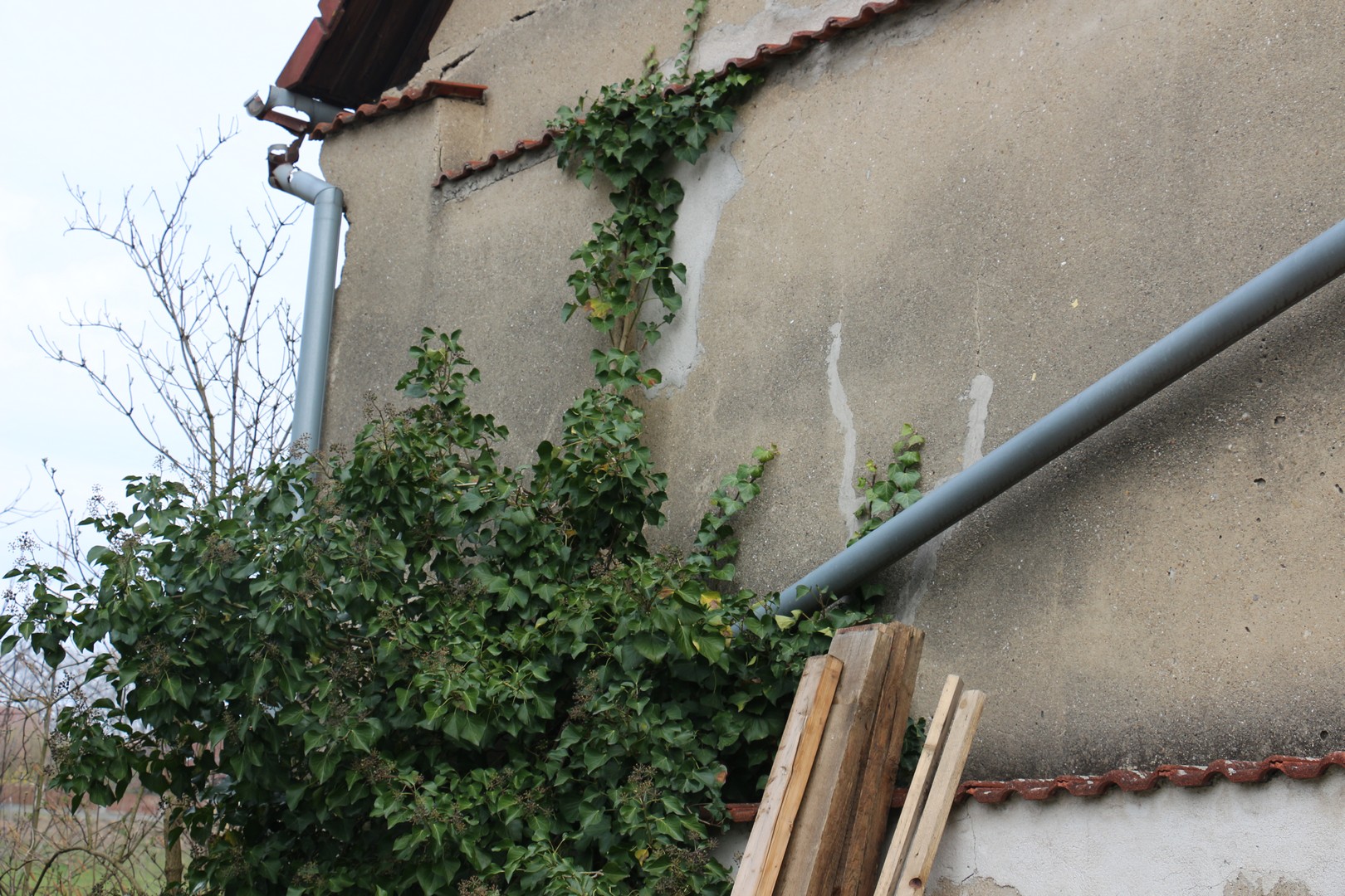 stavnemovitosti.cz foto 5