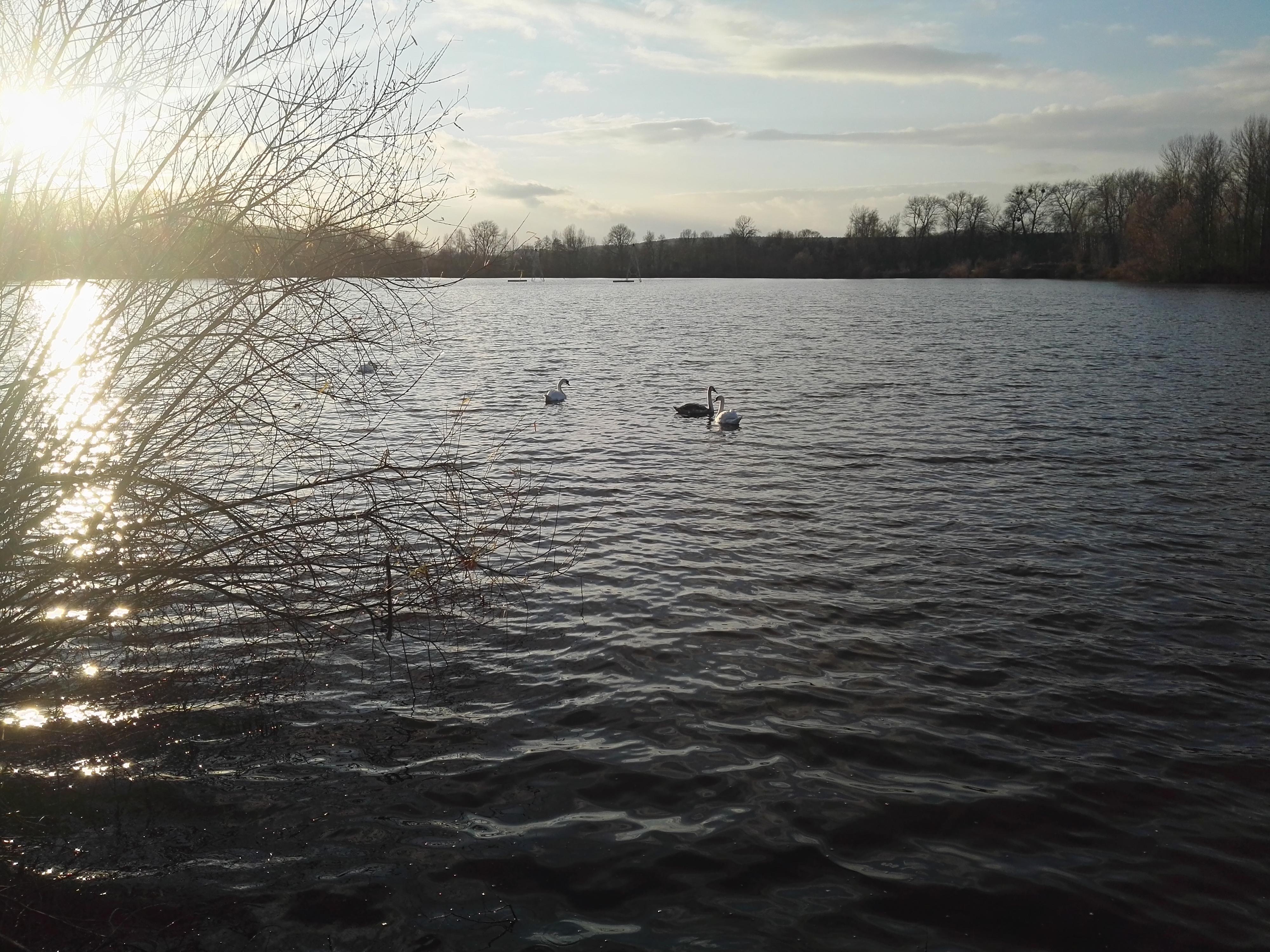 Wake park Mnichovo Hradiště foto 6