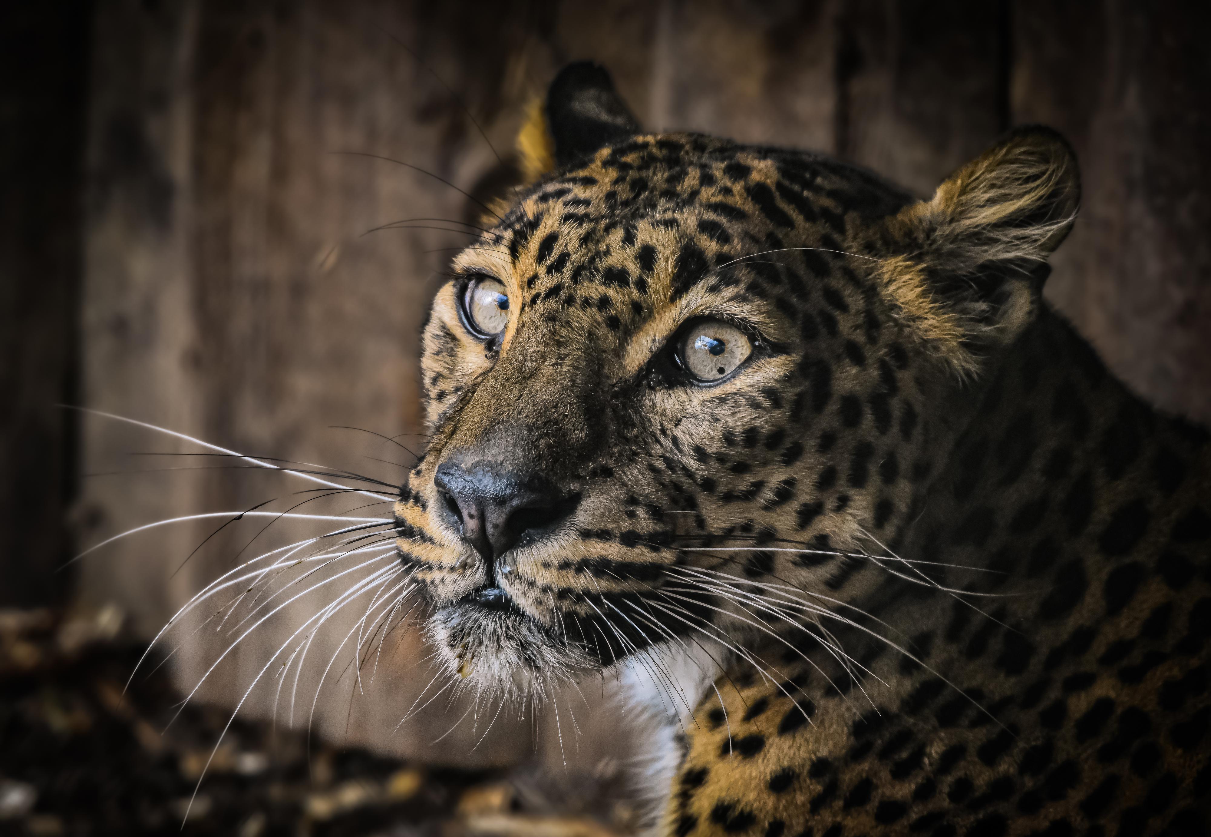 Zoo Brno a stanice zájmových činností foto 2