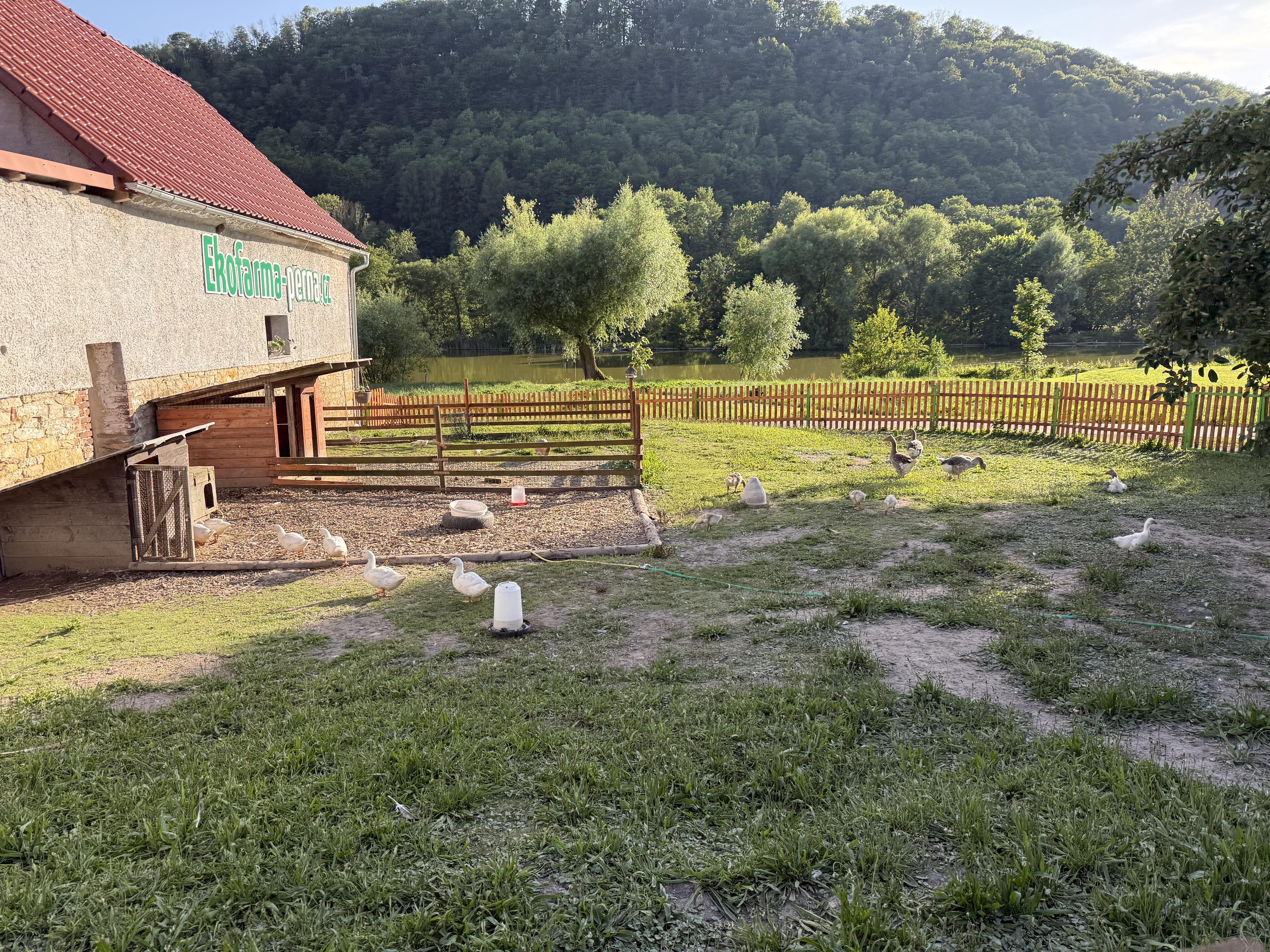 Občerstvení u Vlka foto 5