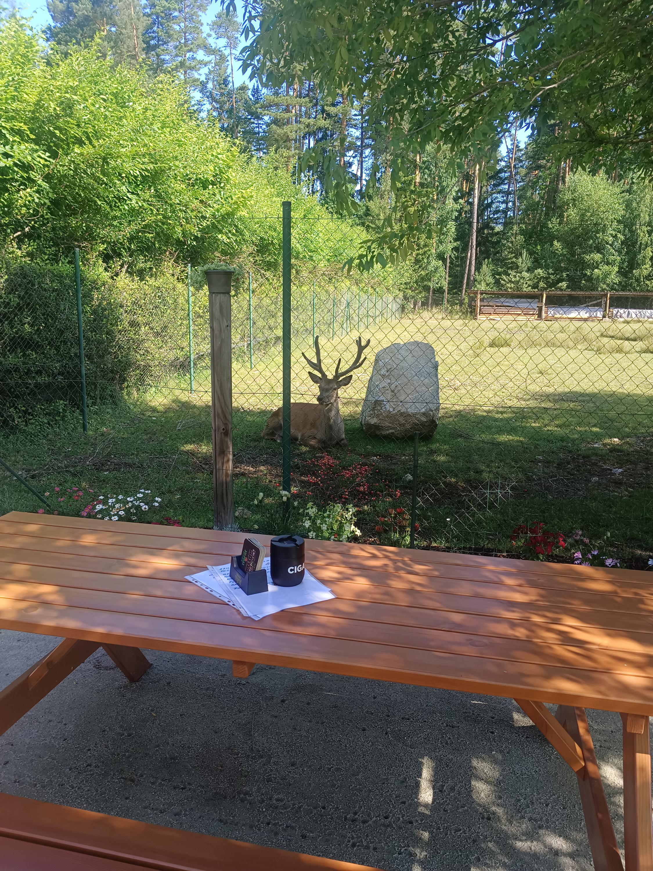 Občerstvení u jelení farmy foto 2