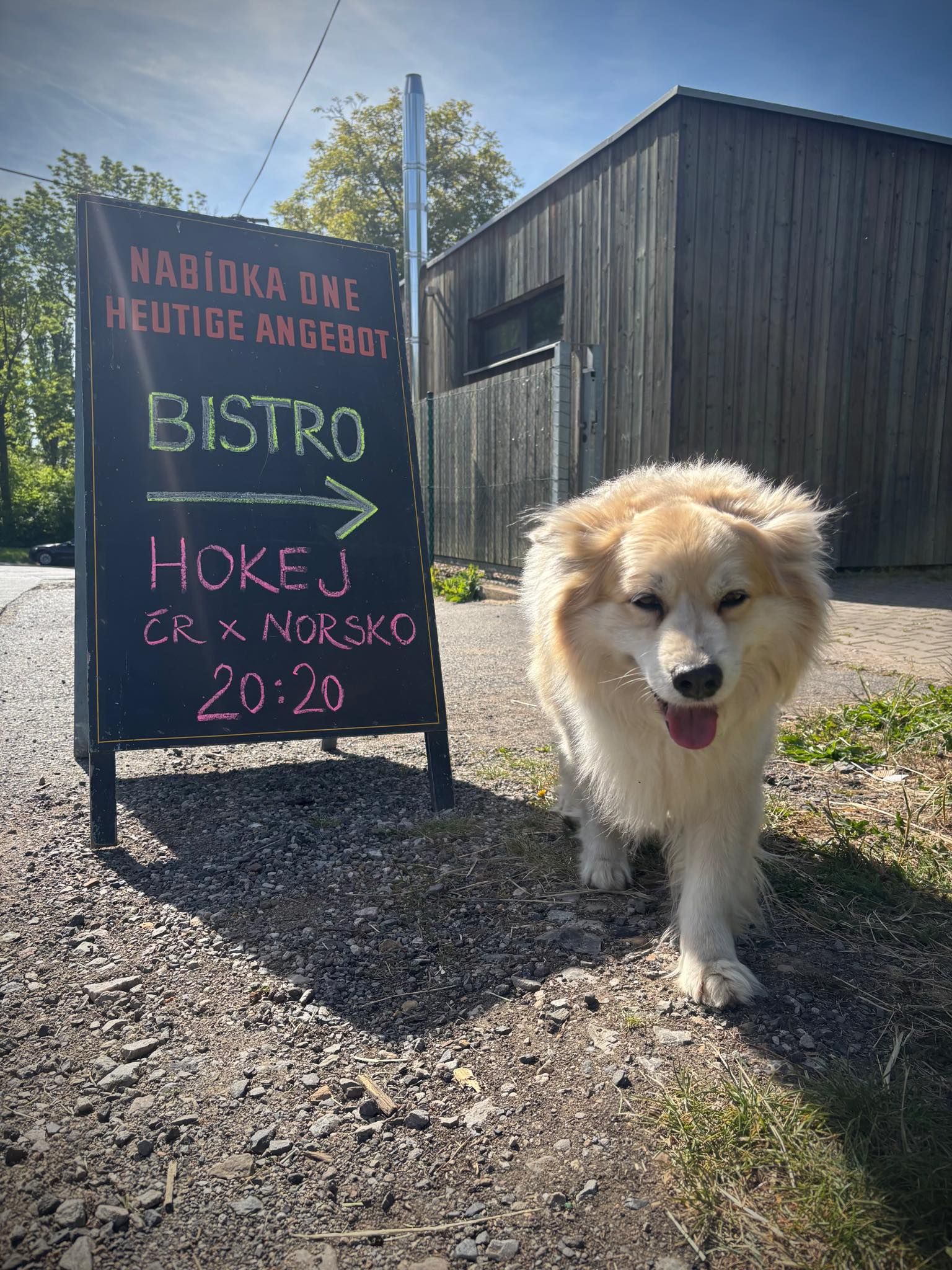 RAKETA bistro foto 2