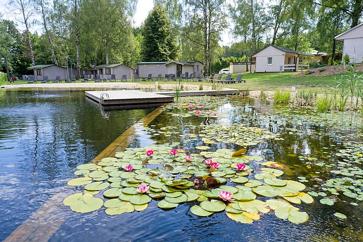 Obora resort & spa foto 2