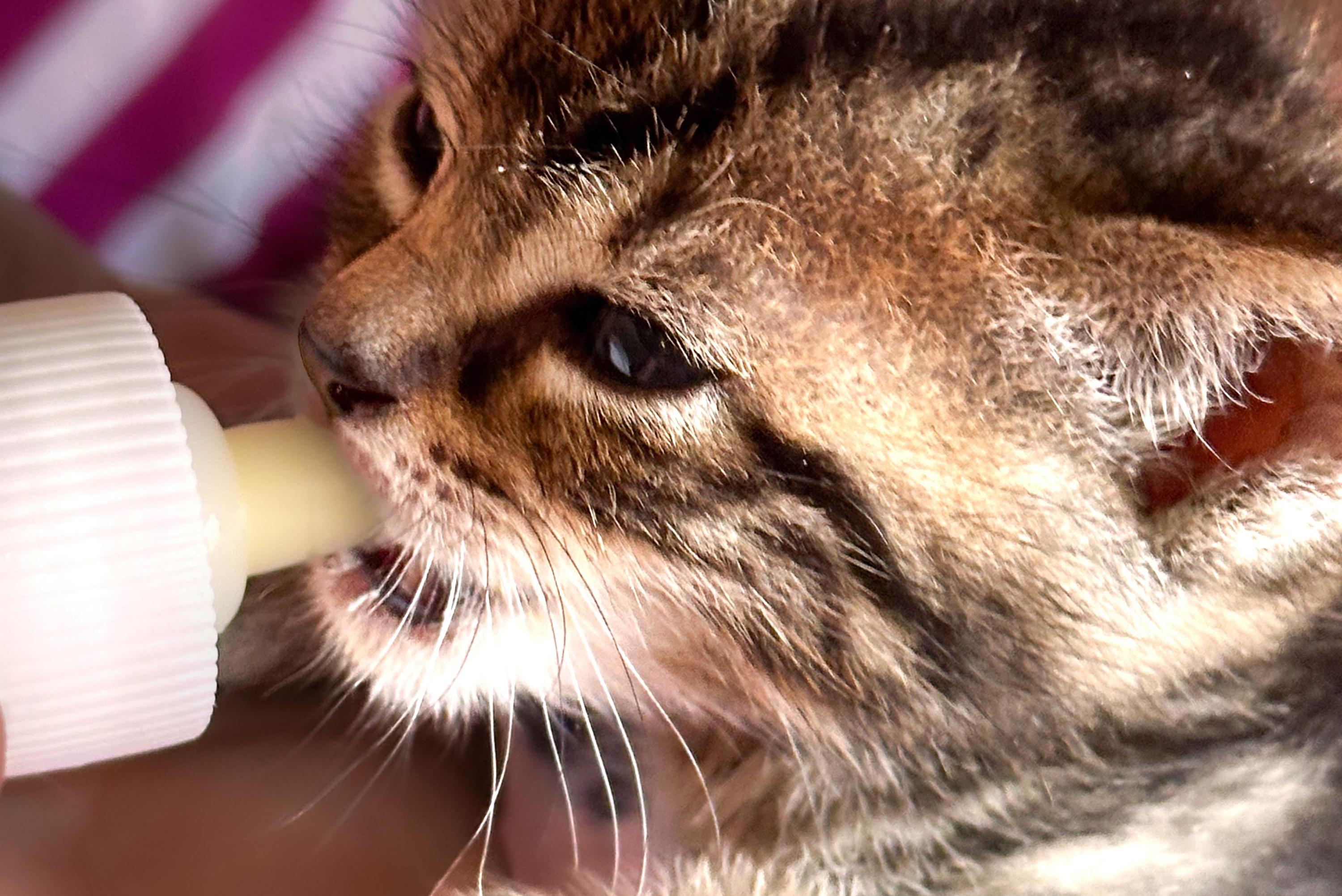 Dobré ruce, z.s. foto 1