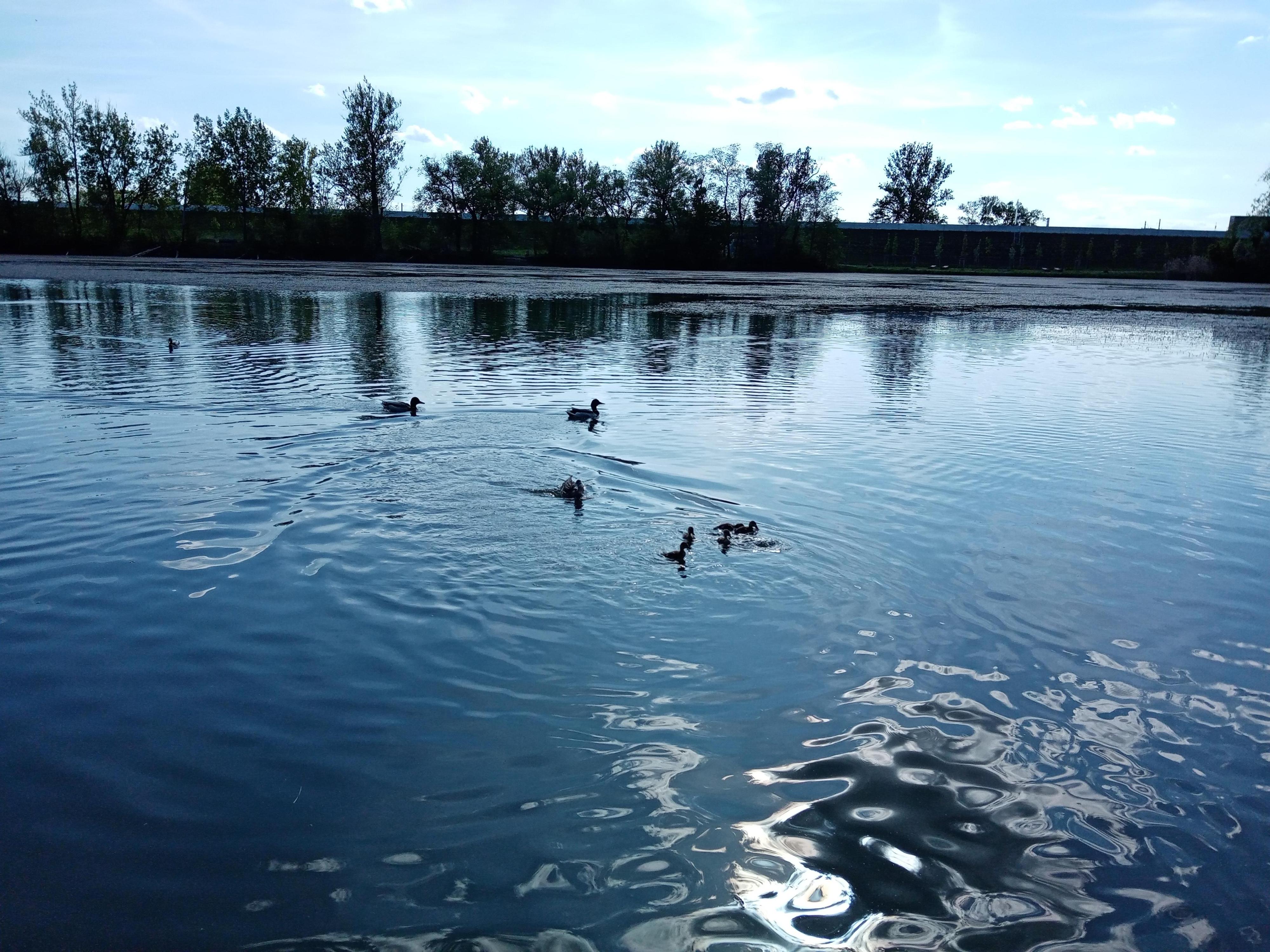 LODIČKY DOKOŘÁN foto 5