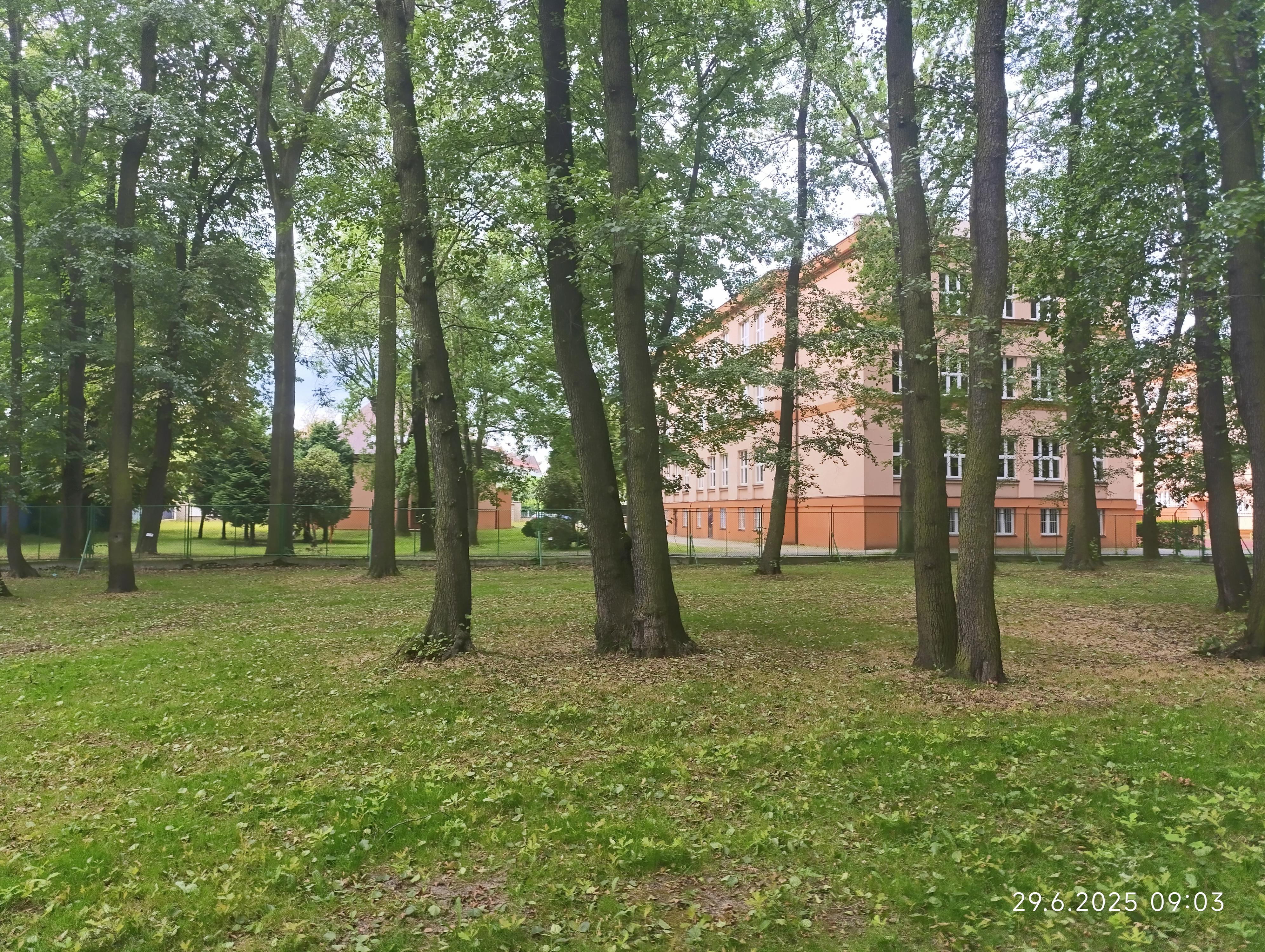 Gymnázium Františka Živného, Bohumín foto 3