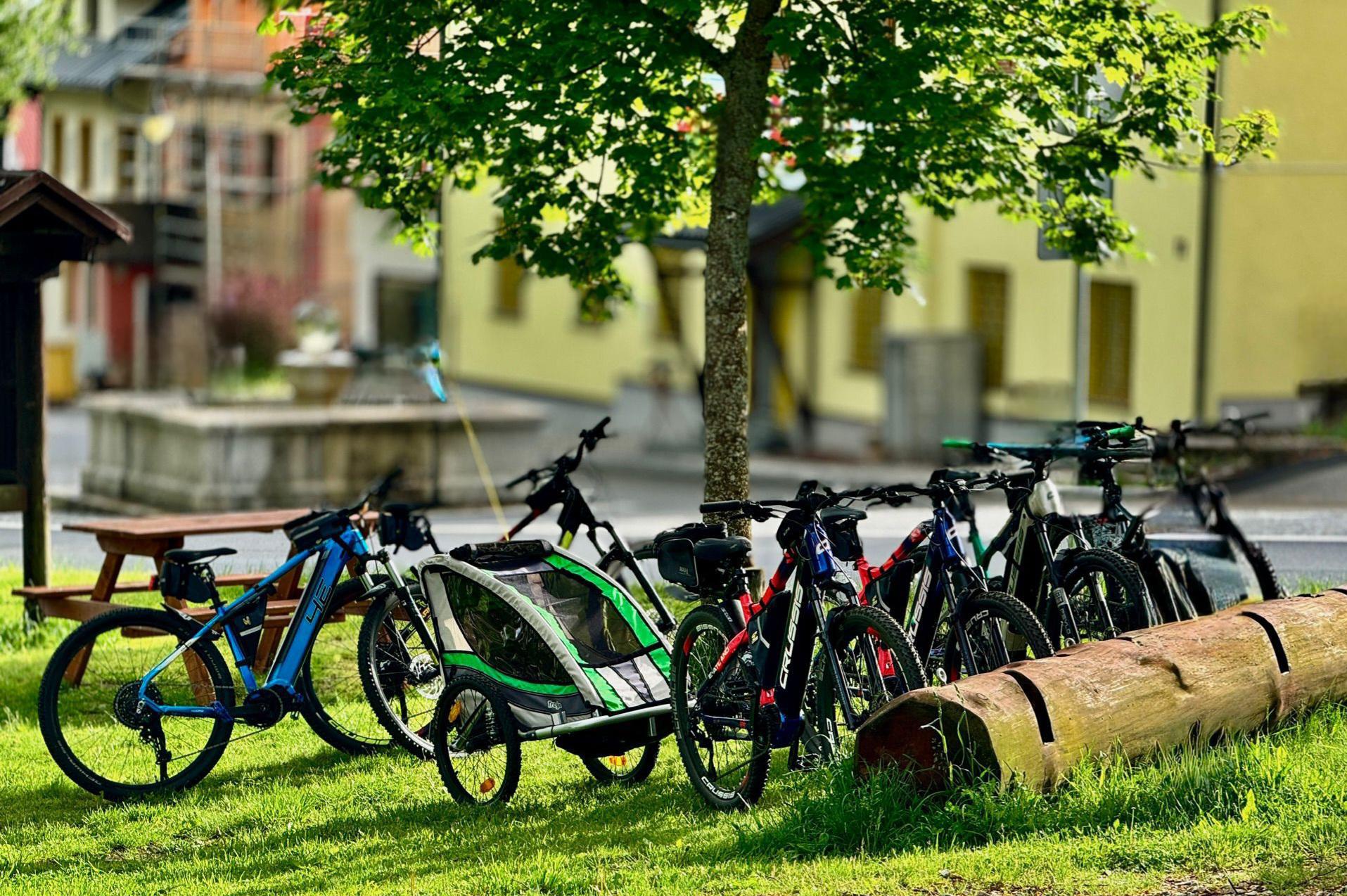 Půjčovna elektrokol Strážný
