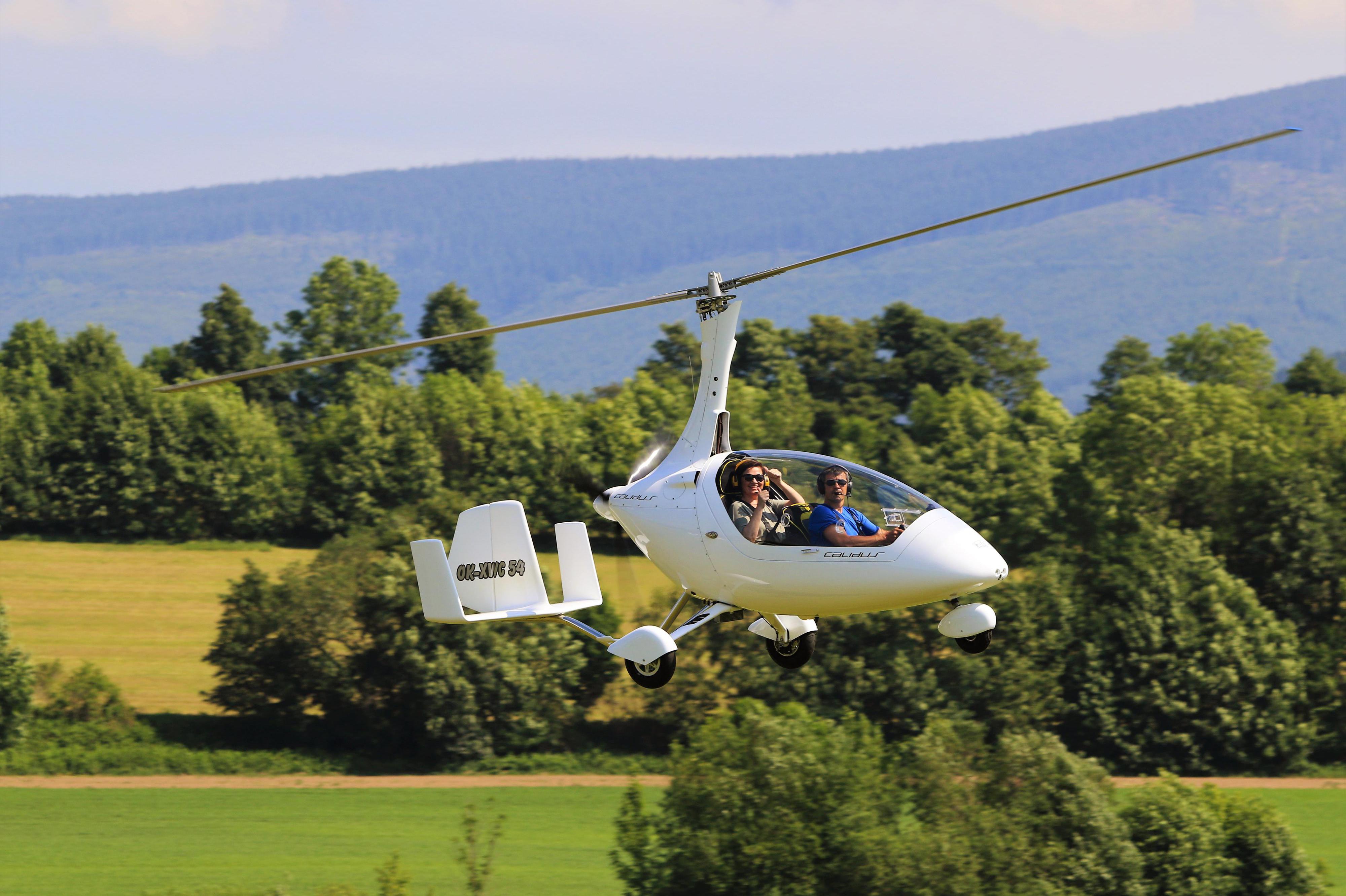 LET VÍRNÍKEM - Yellow point