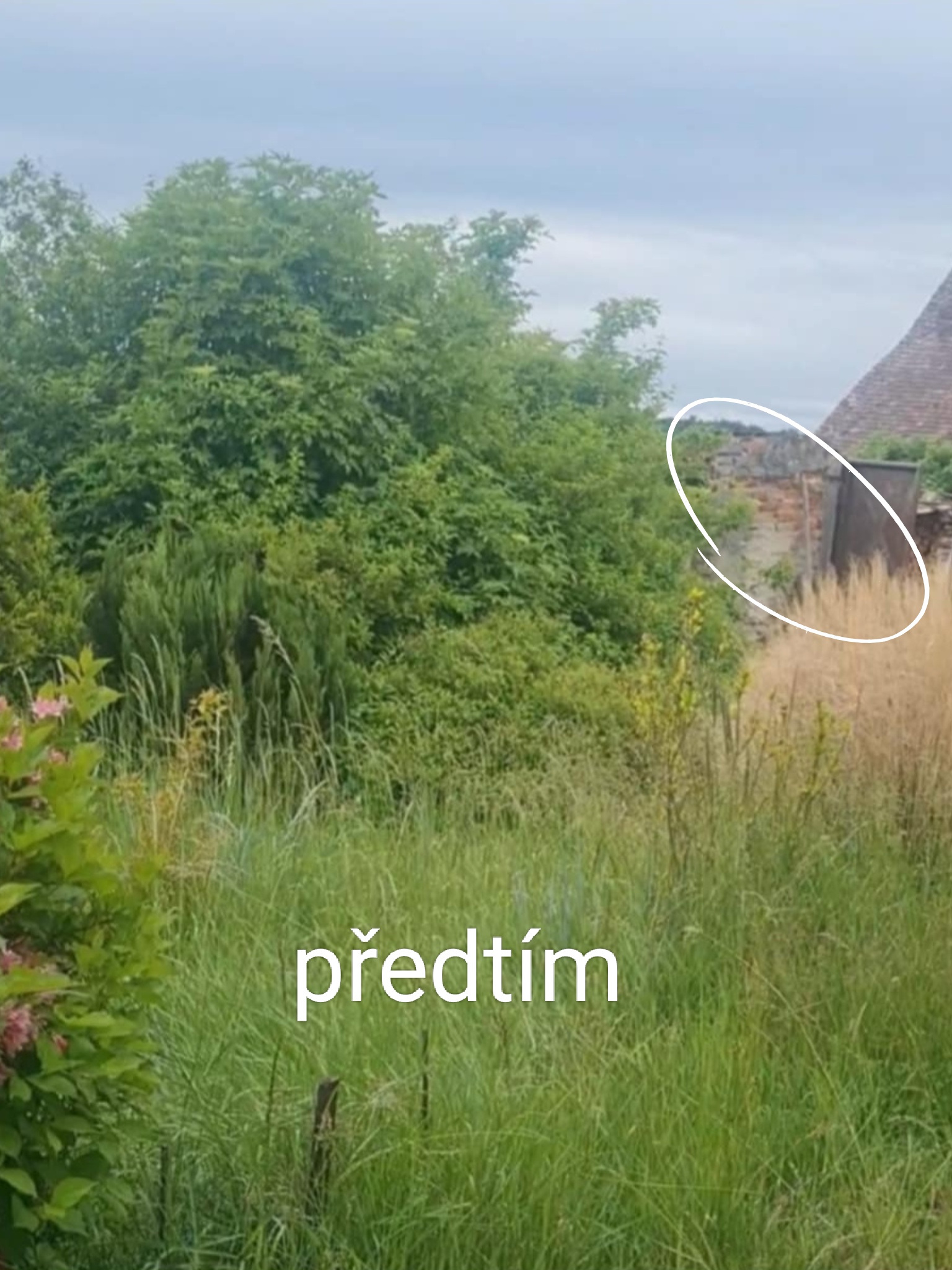 JM-Hodinový Manžel foto 4