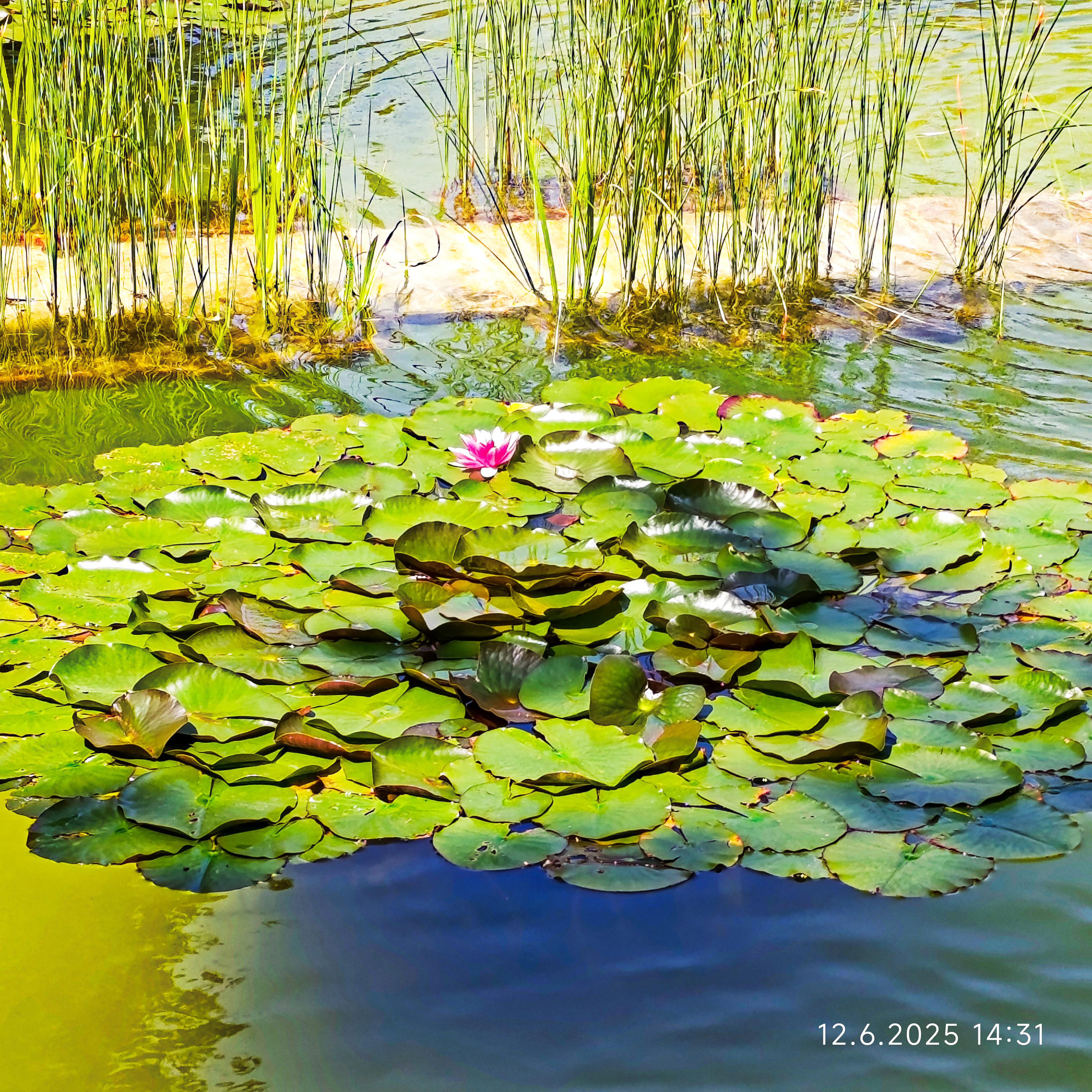 Nemocnice AGEL Přerov foto 3