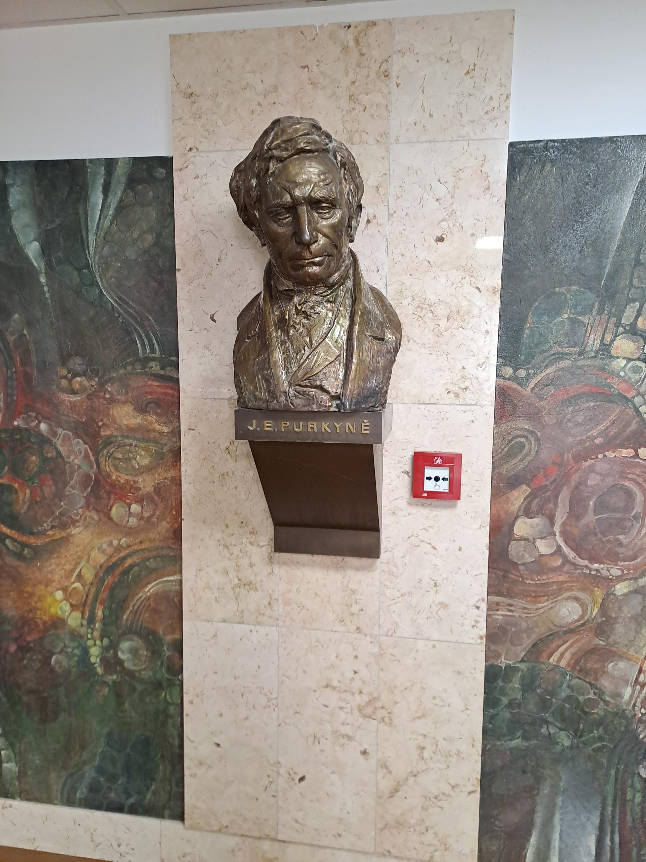 Fakultní nemocnice Plzeň - Lochotín foto 6