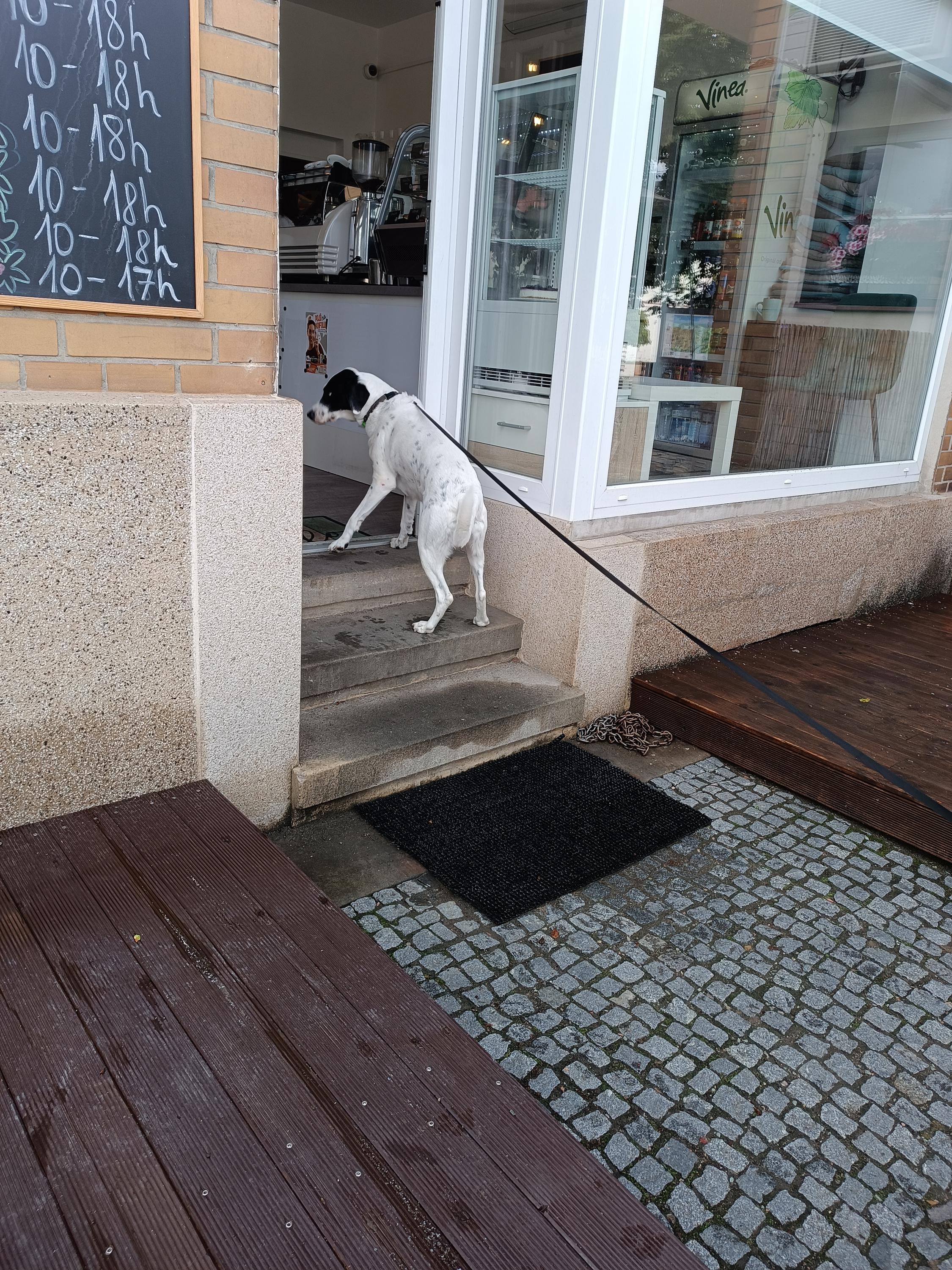 Kafárna Srcofka foto 5