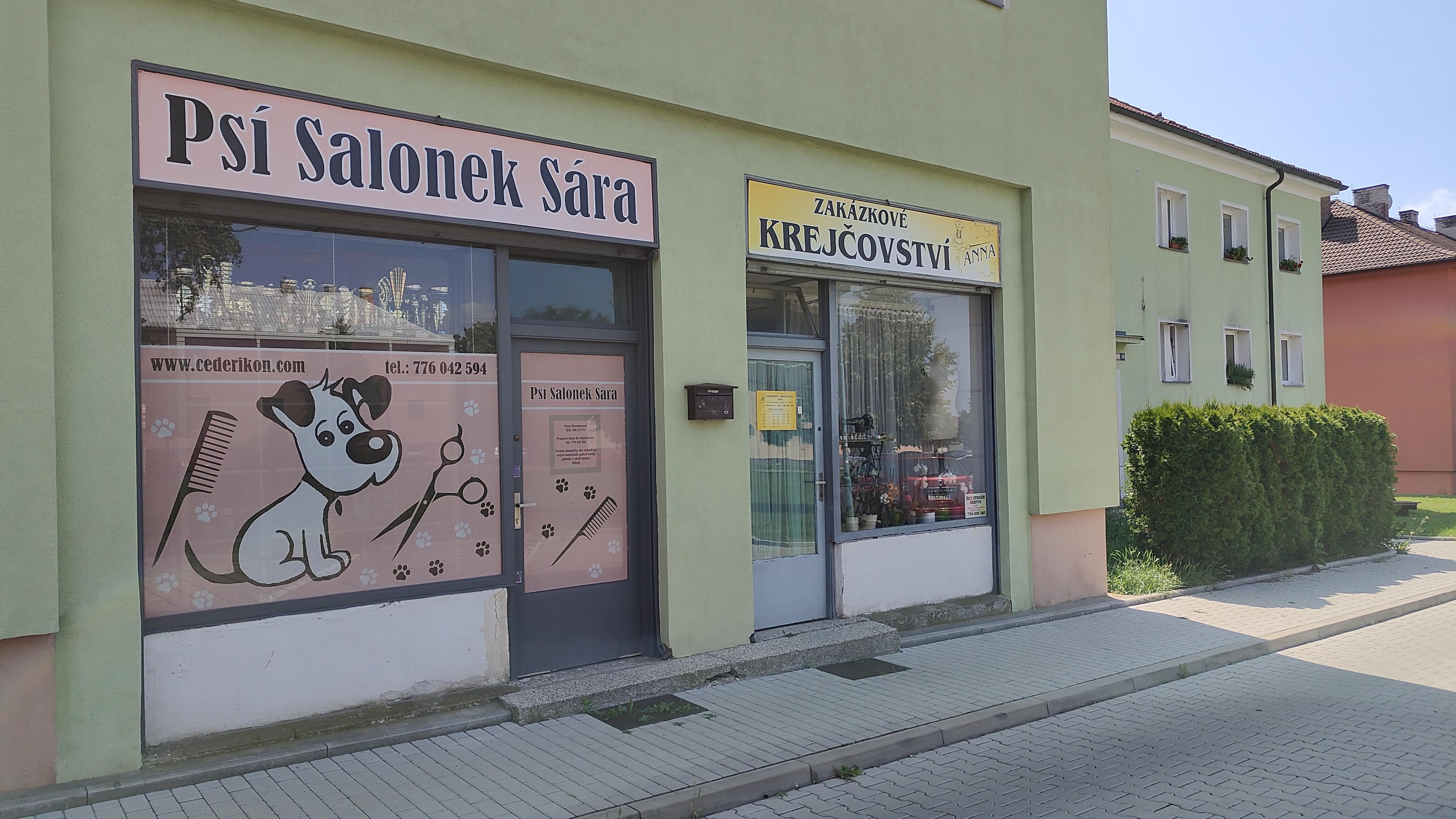 Švadlenka - Anna Horáčková