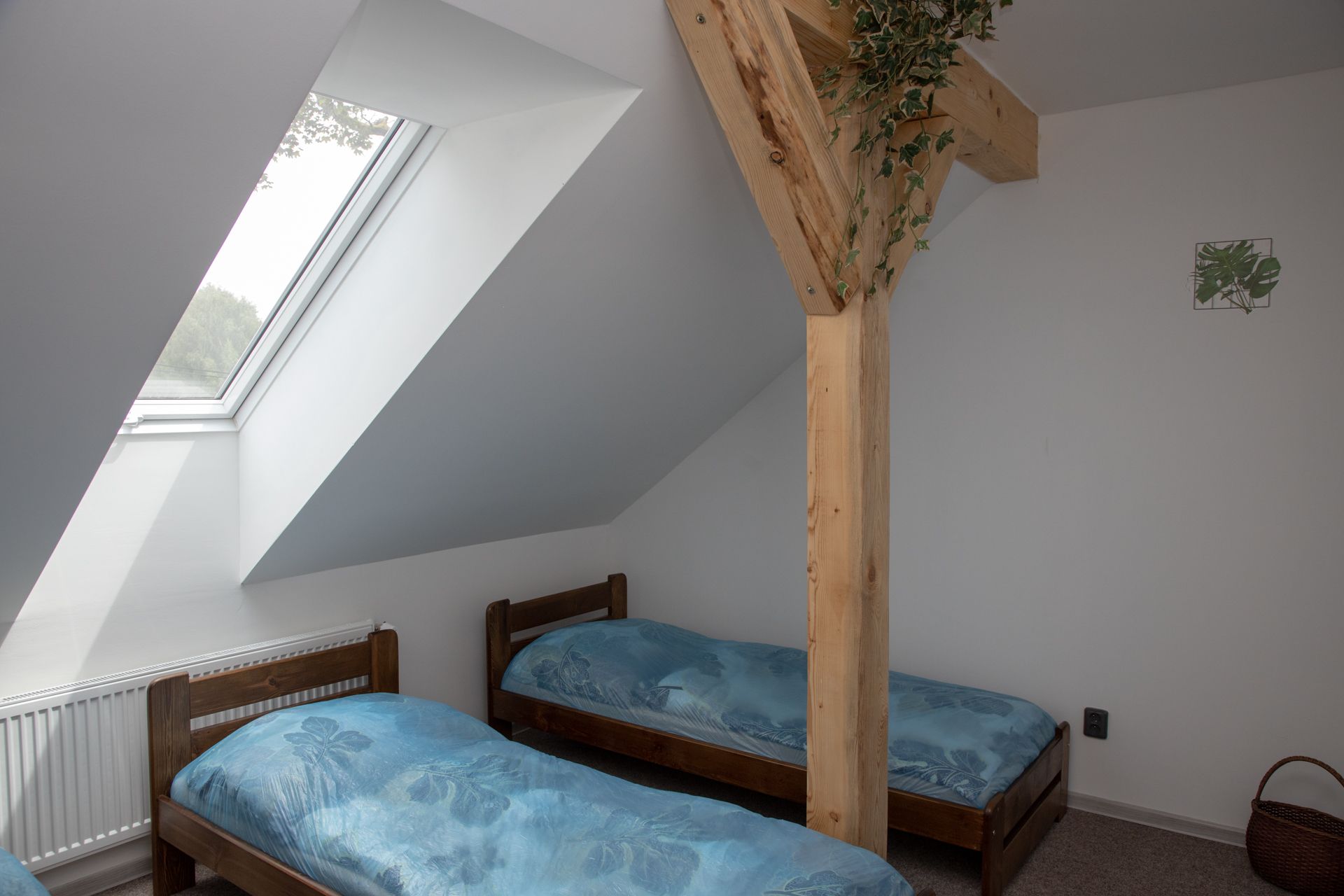 Ubytování Zlaté slunce foto 3