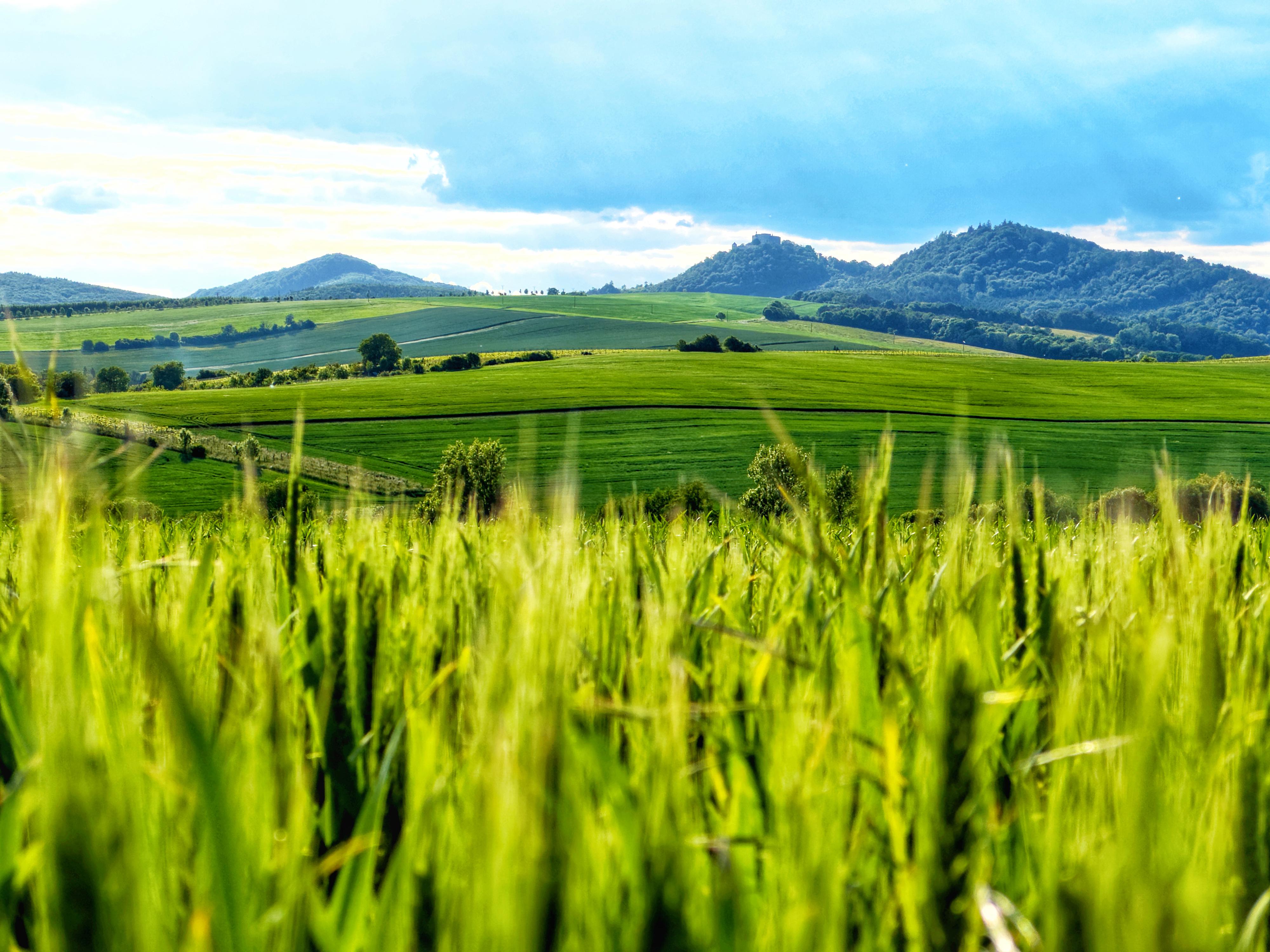 Státní hrad Buchlov foto 5