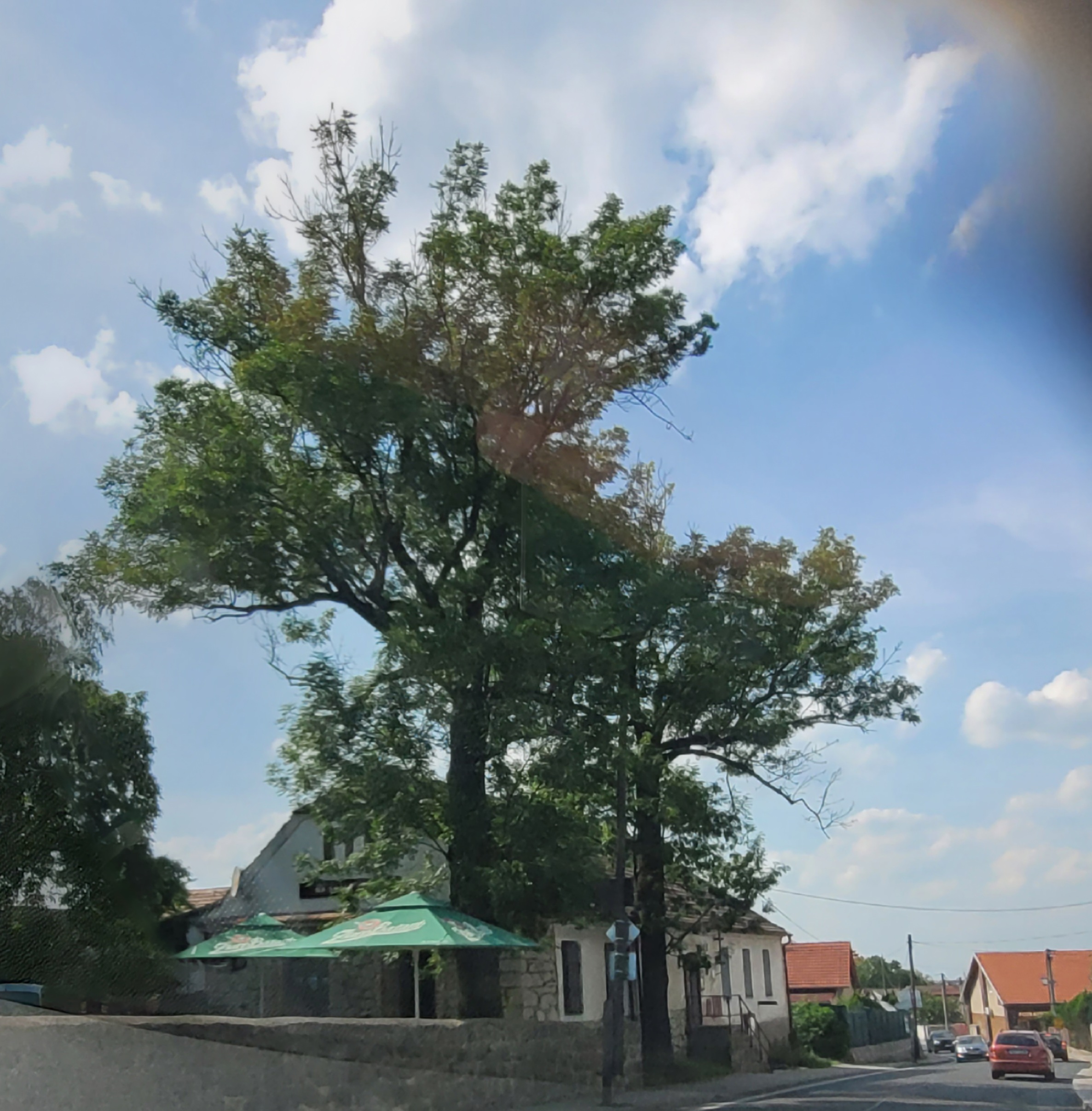 Pivnice Na skále