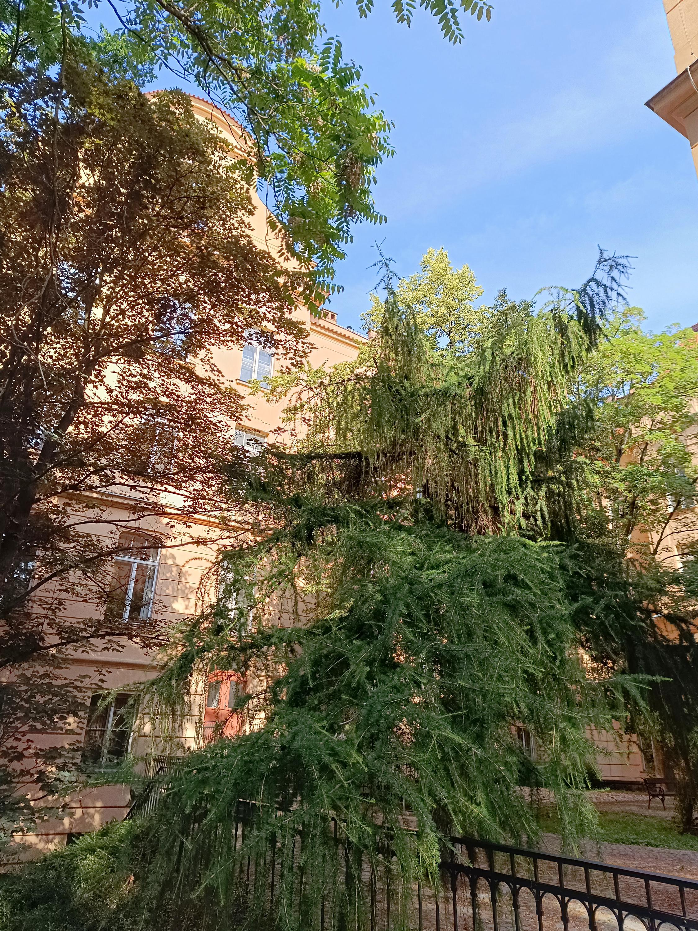Knihovna Matematicko-fyzikální fakulty Univerzity Karlovy foto 2