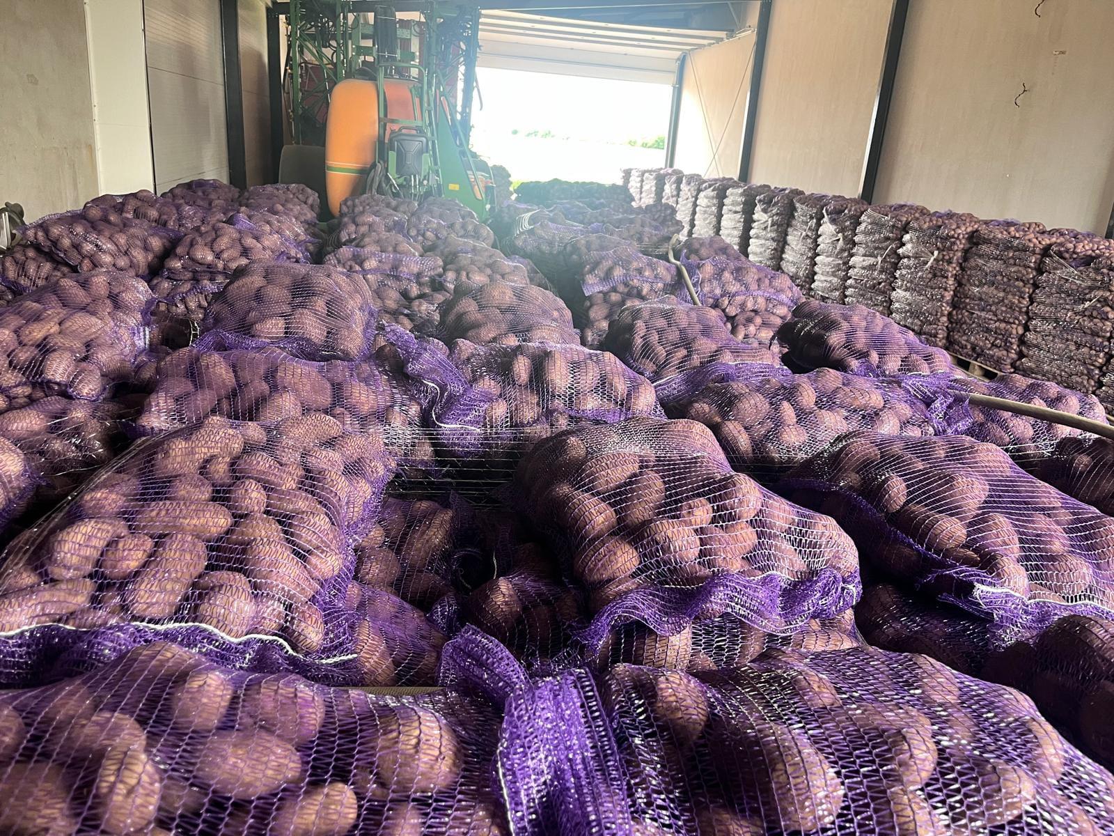 Bramborárna Lešná