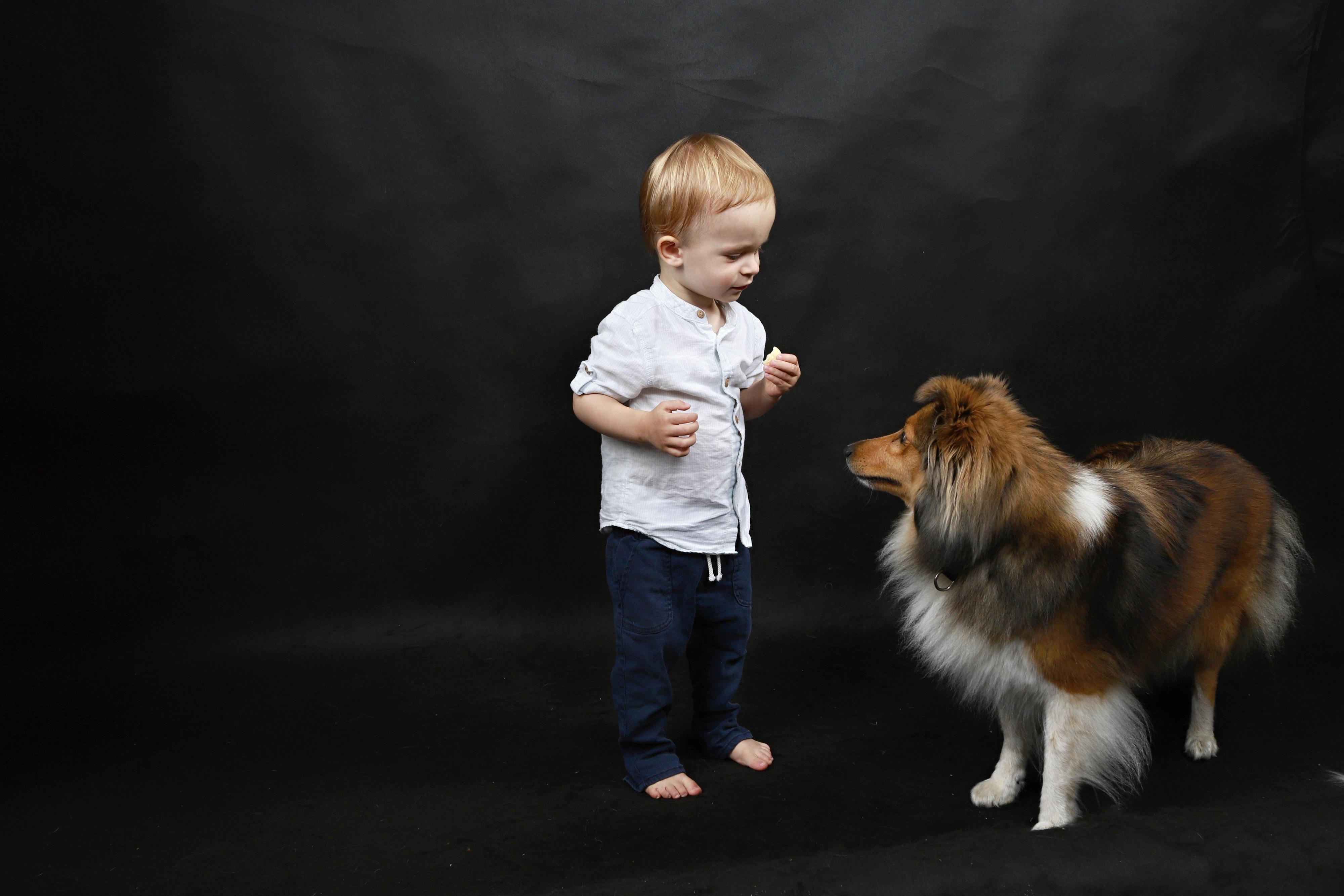 FOTOGRAFOVÁNÍ DOMÁCÍCH MAZLÍČKŮ