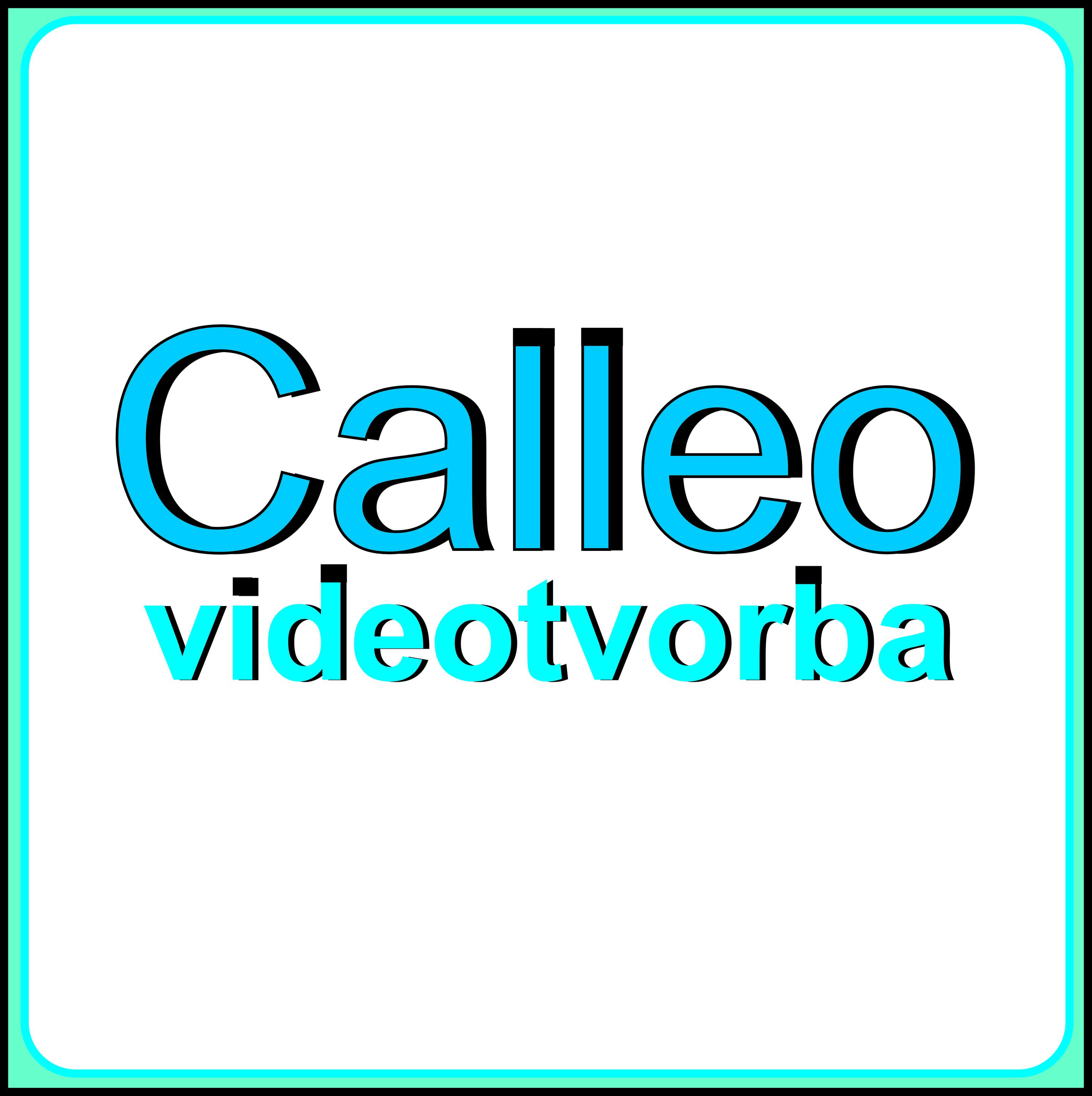 Vít Kalus & Calleo foto 2
