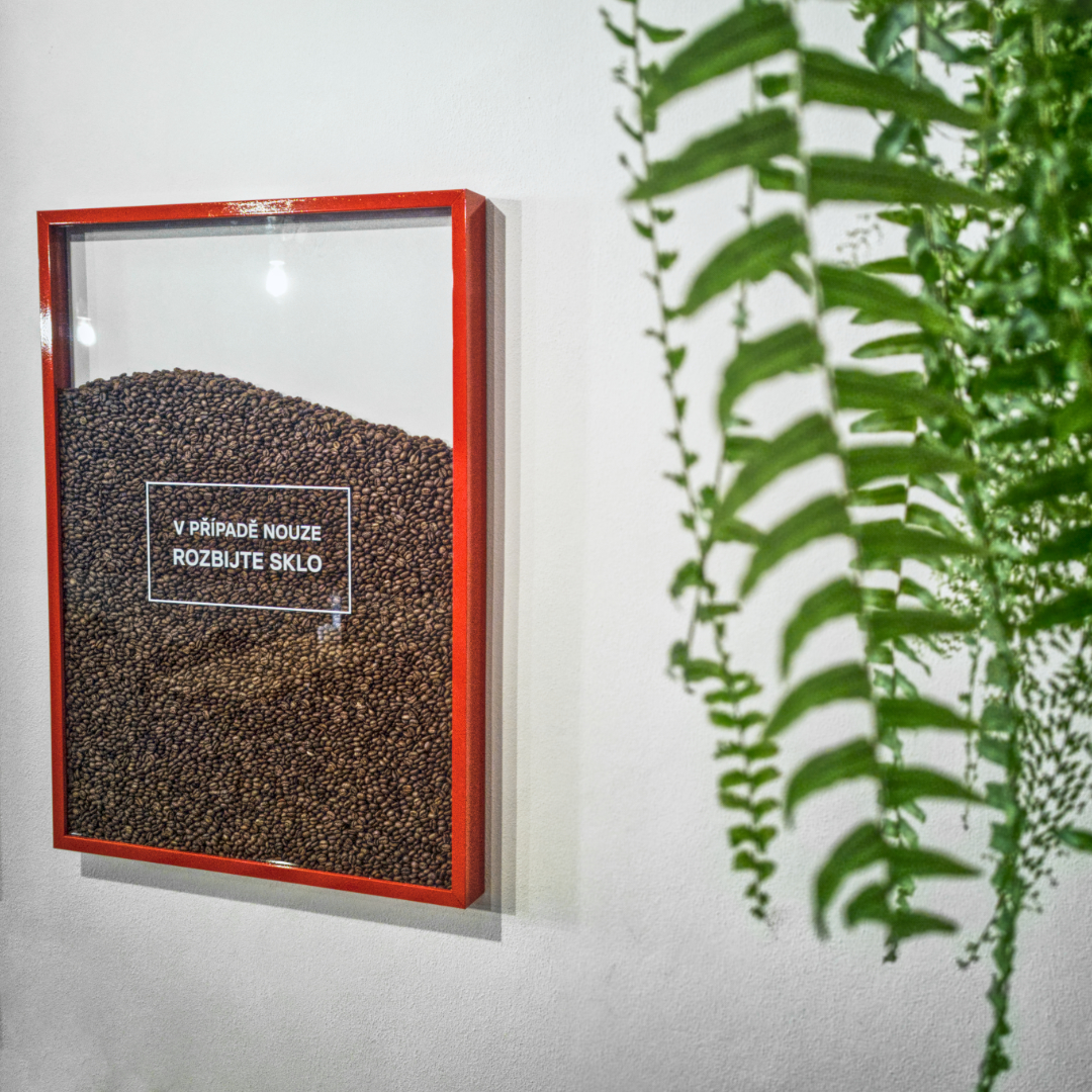 JINÝ KAFE foto 3
