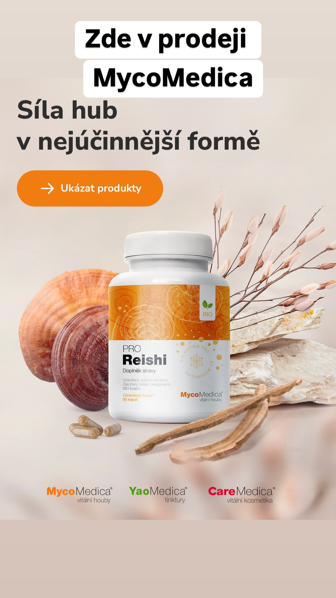 BIOREZONANCE VYŠKOV foto 3