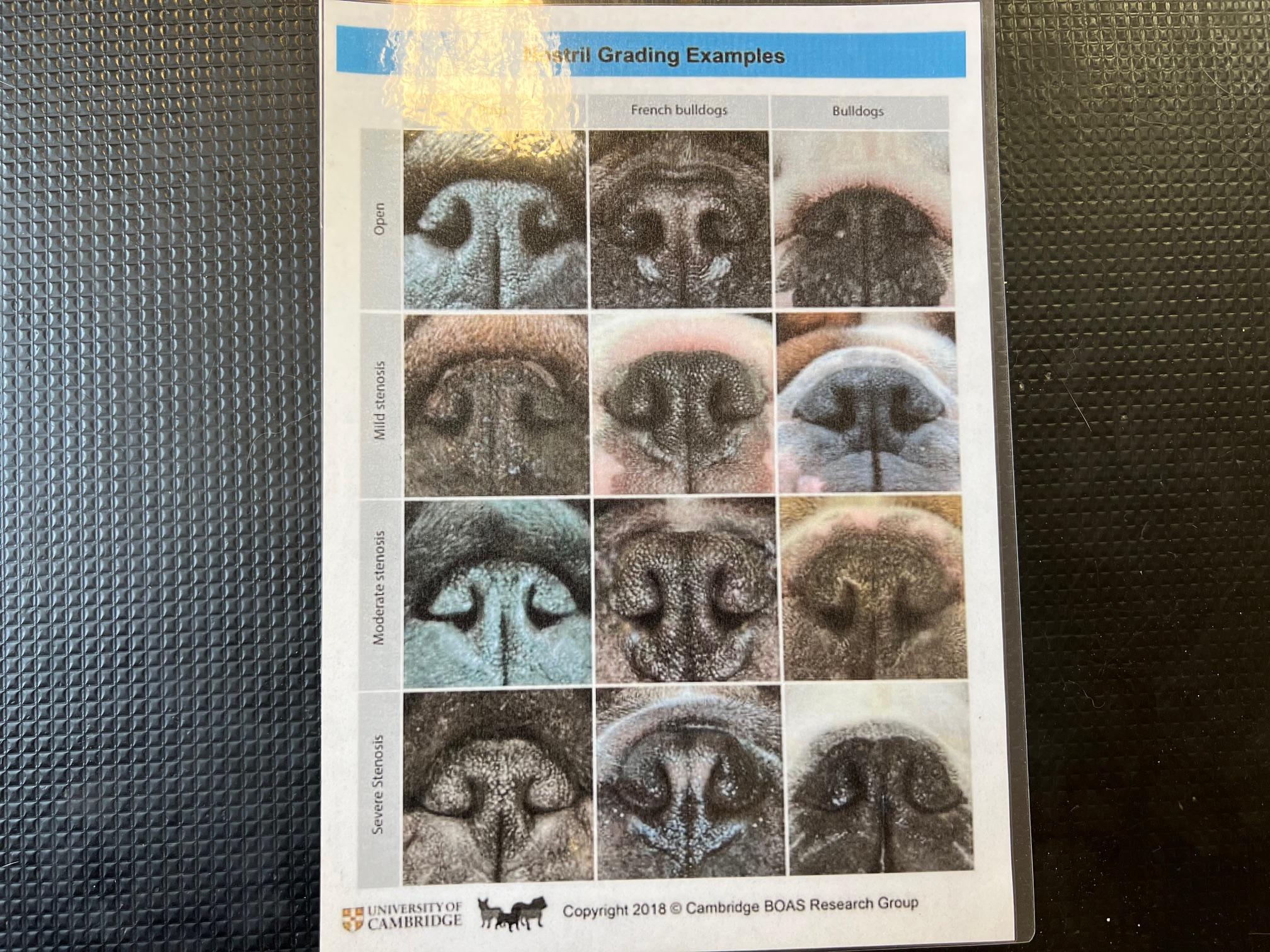 Zátěžový test Boas