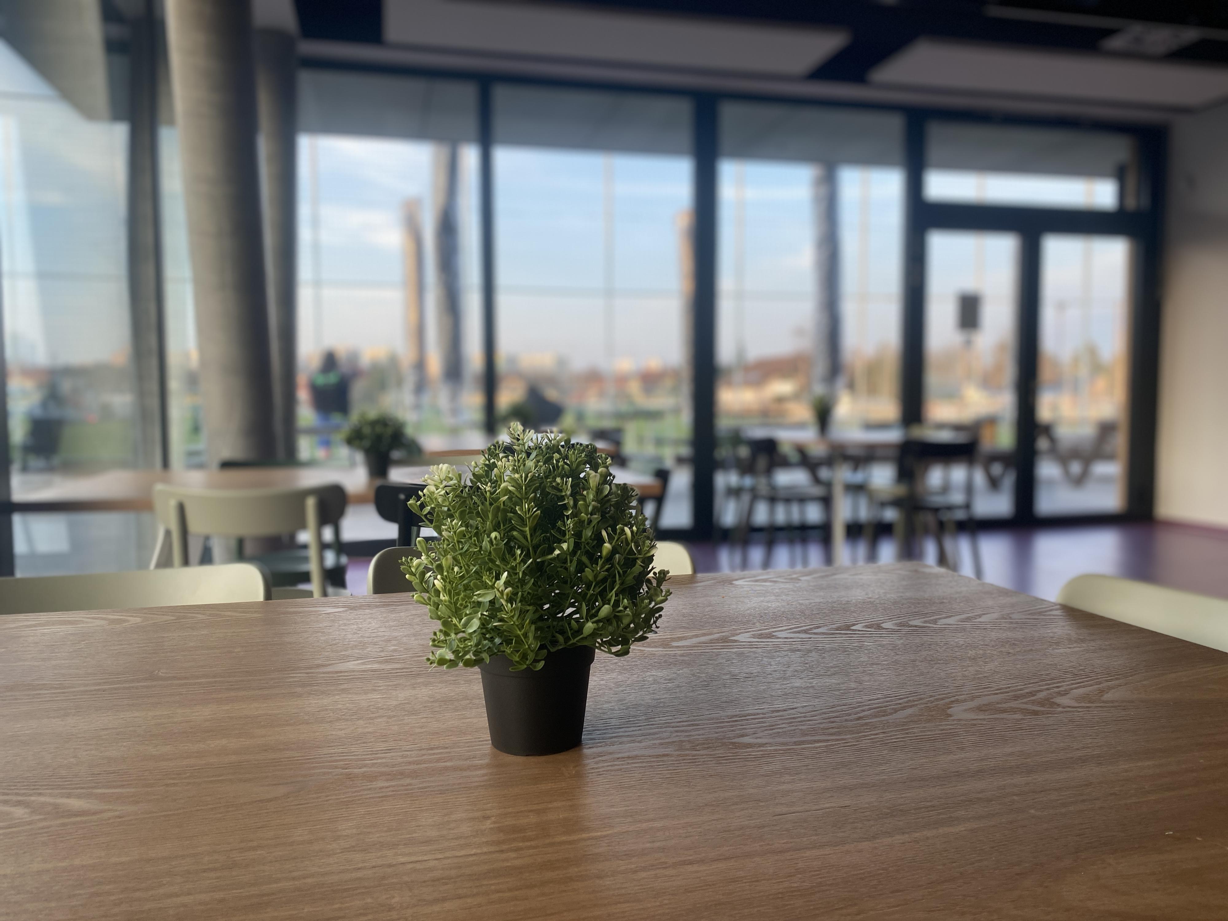Bistro Slovan foto 2