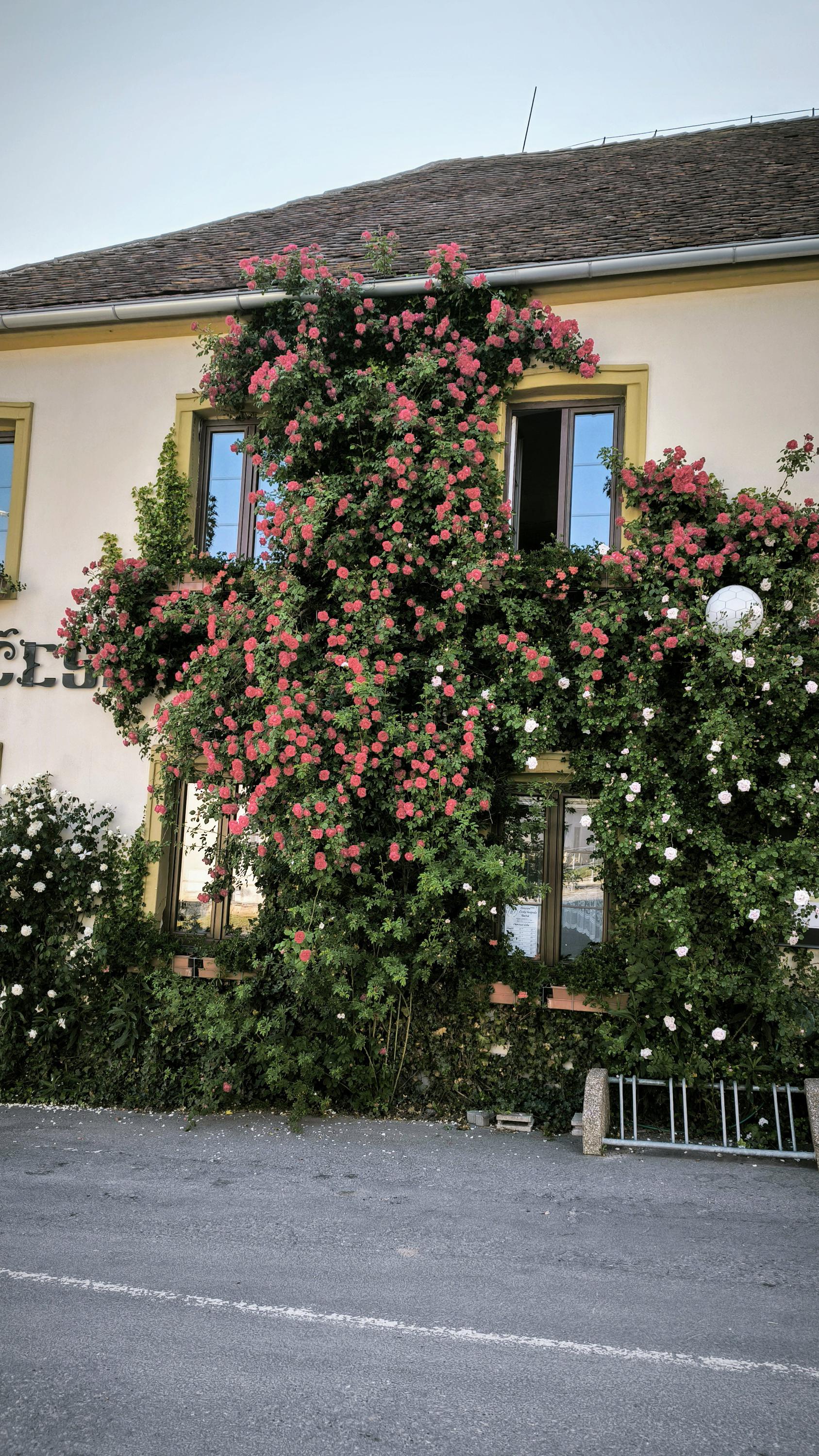 Česká hospoda foto 5