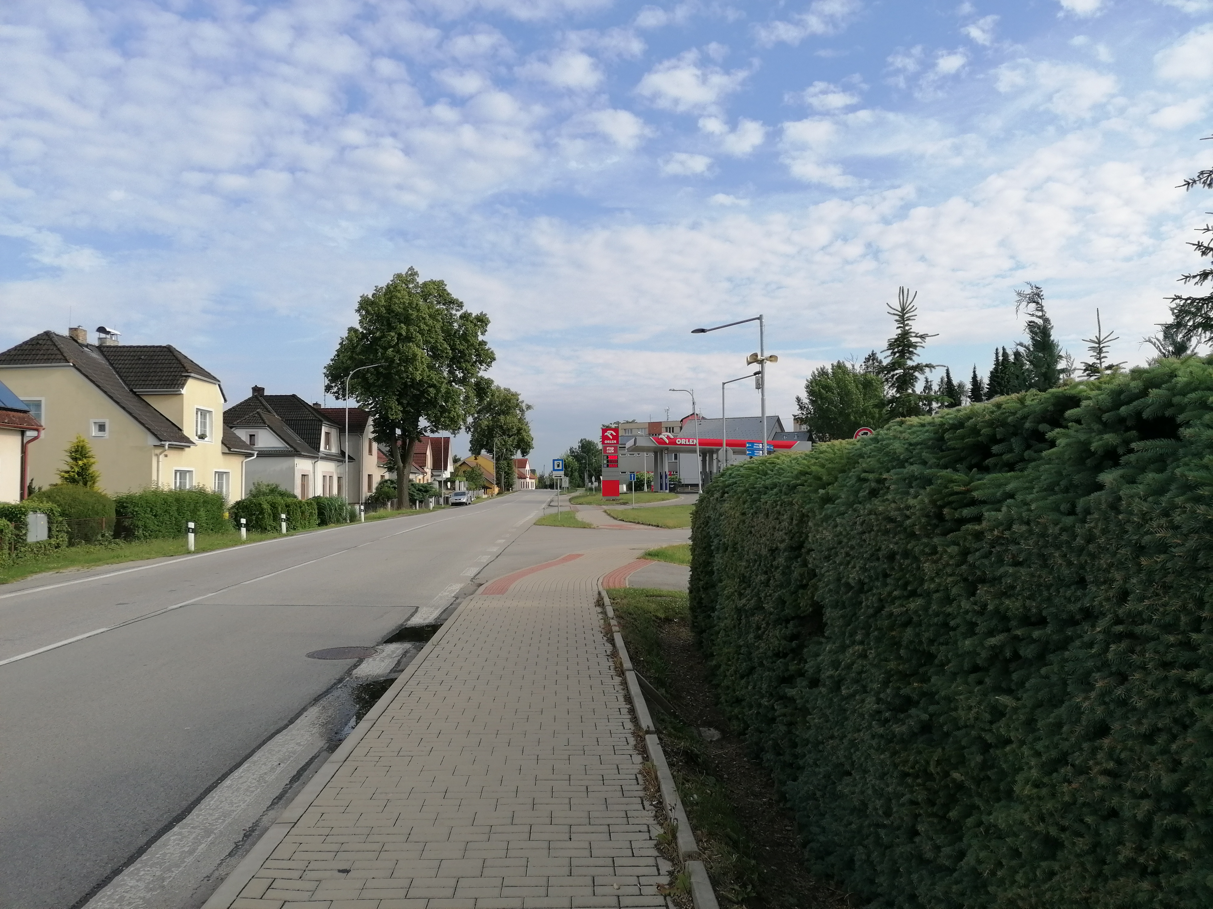 ORLEN foto 3