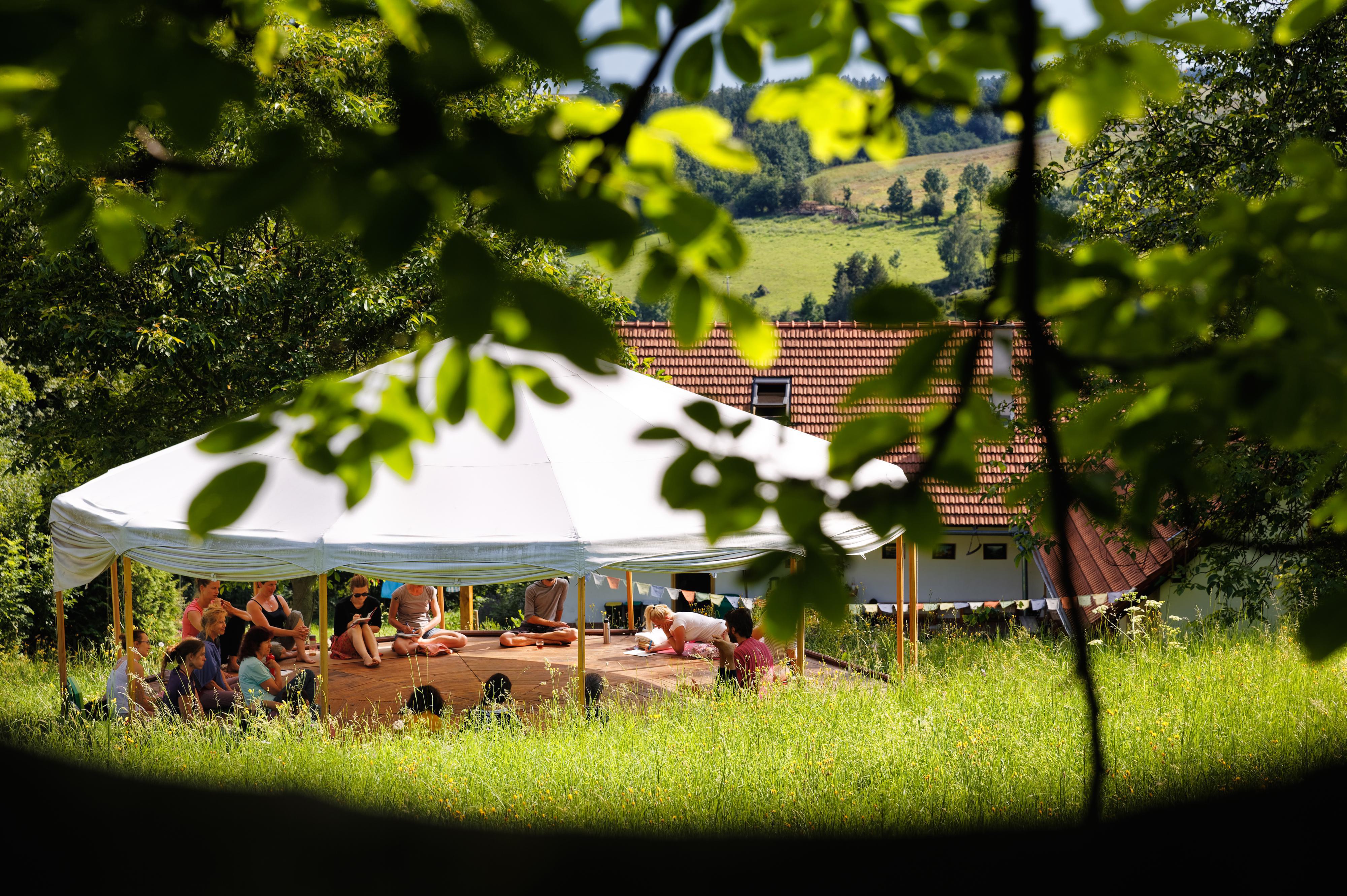 Mgr. Kateřina Rojková - GAIA TREE