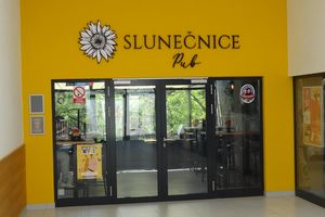 Firemní grafika SLUNEČNICE pub