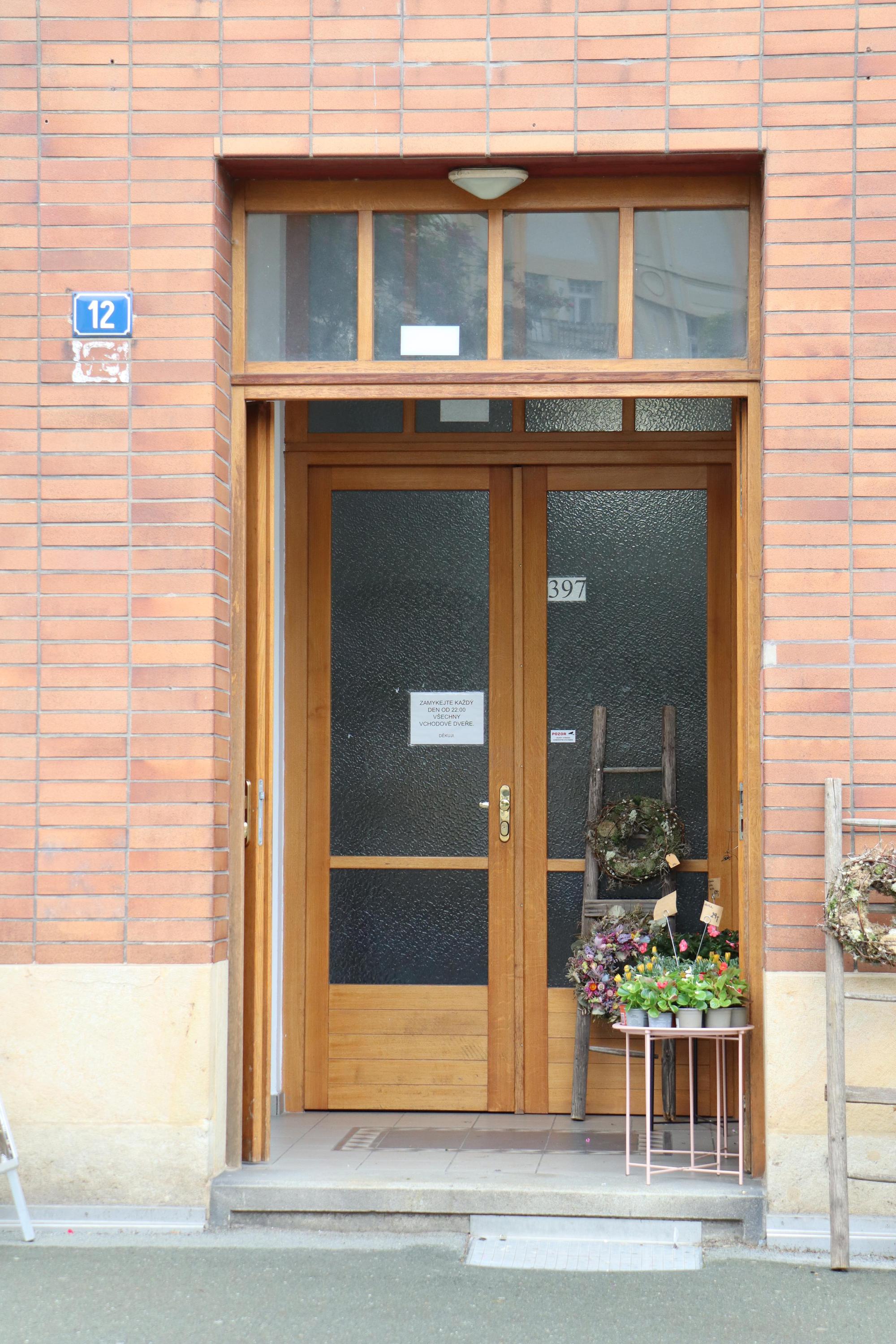 My Ti kvítí foto 5