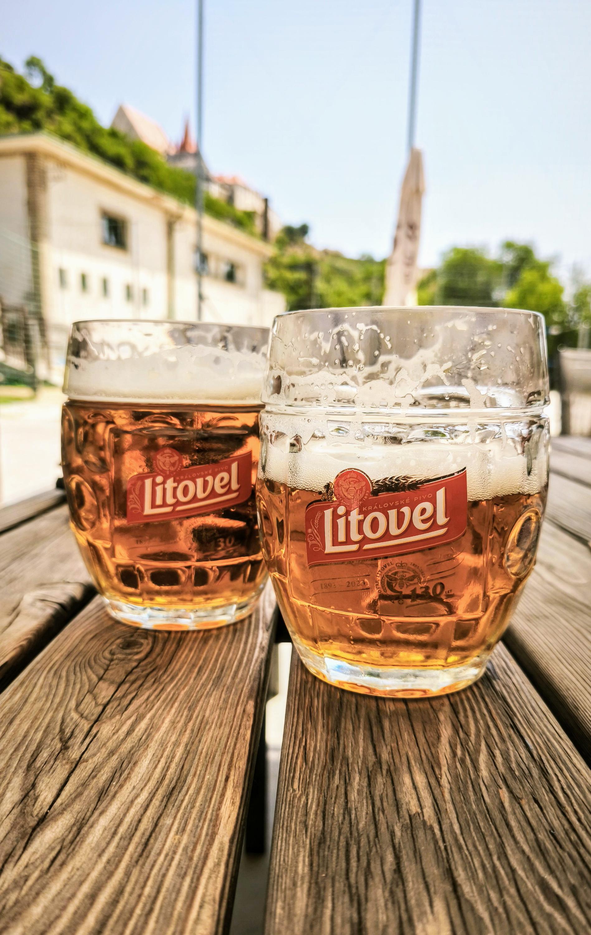 Vodácké centrum Znojmo, s.r.o. foto 4