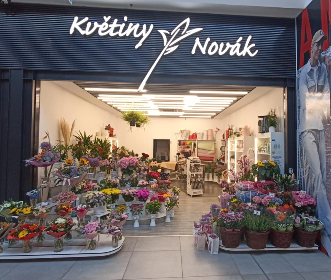 Květiny Novák foto 5
